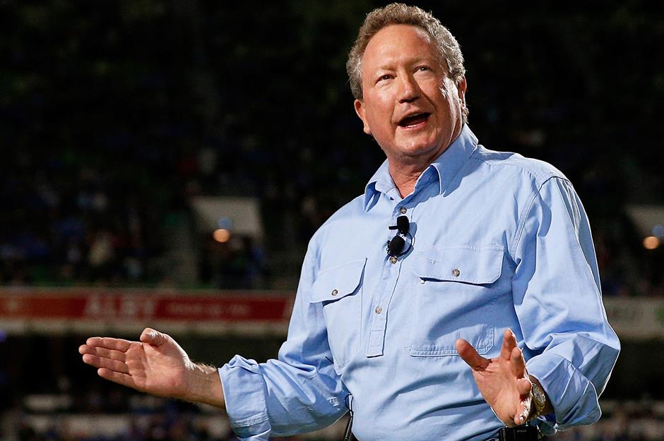 24. Andrew 'Twiggy' Forrest: 1.934 million hectares