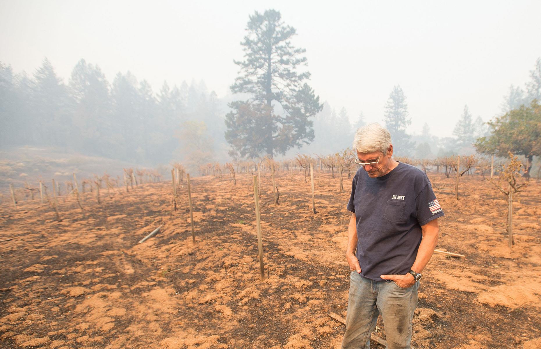 2017: Wine Country wildfires, California