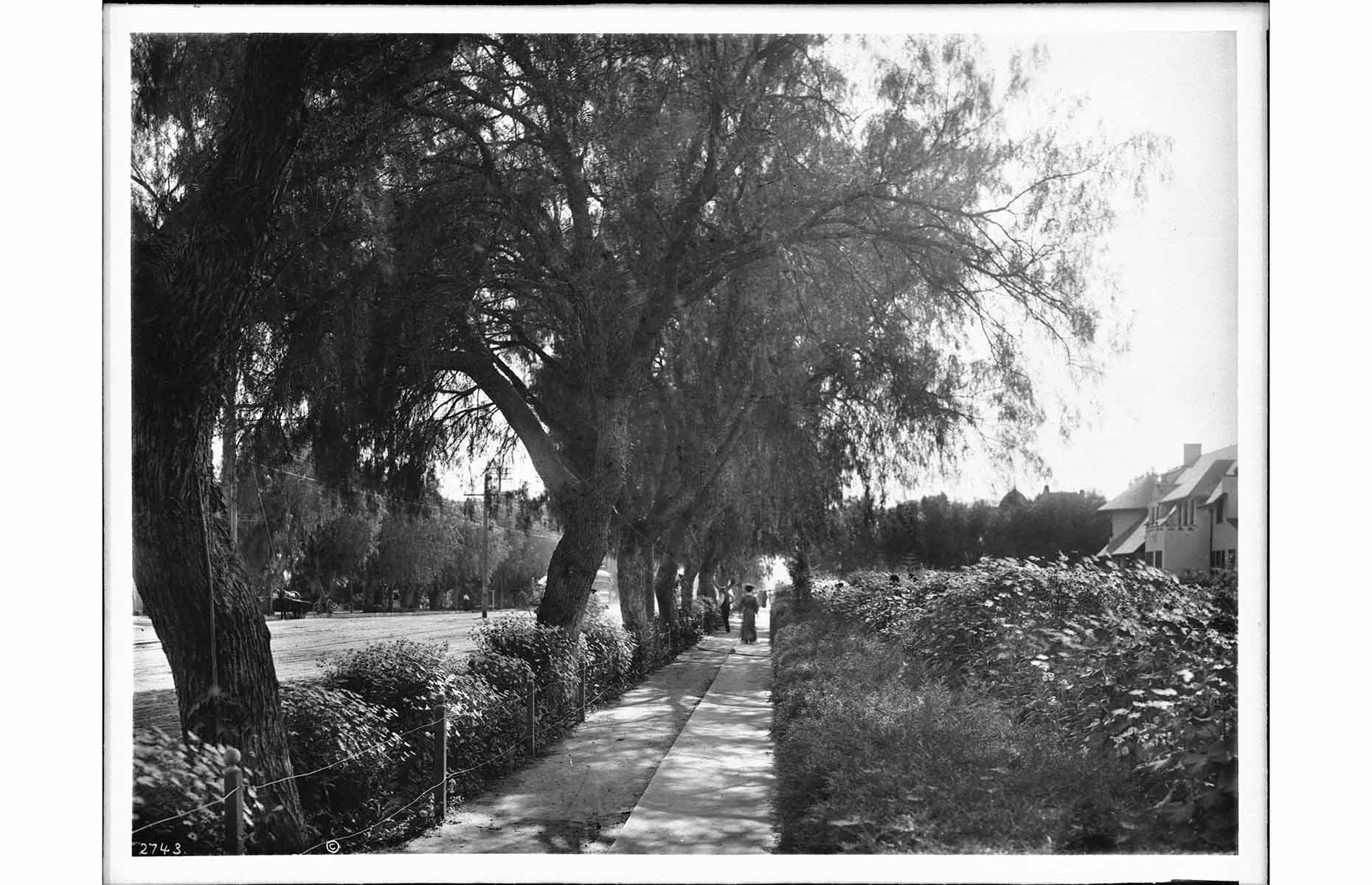 c.1905: Hollywood before the movies