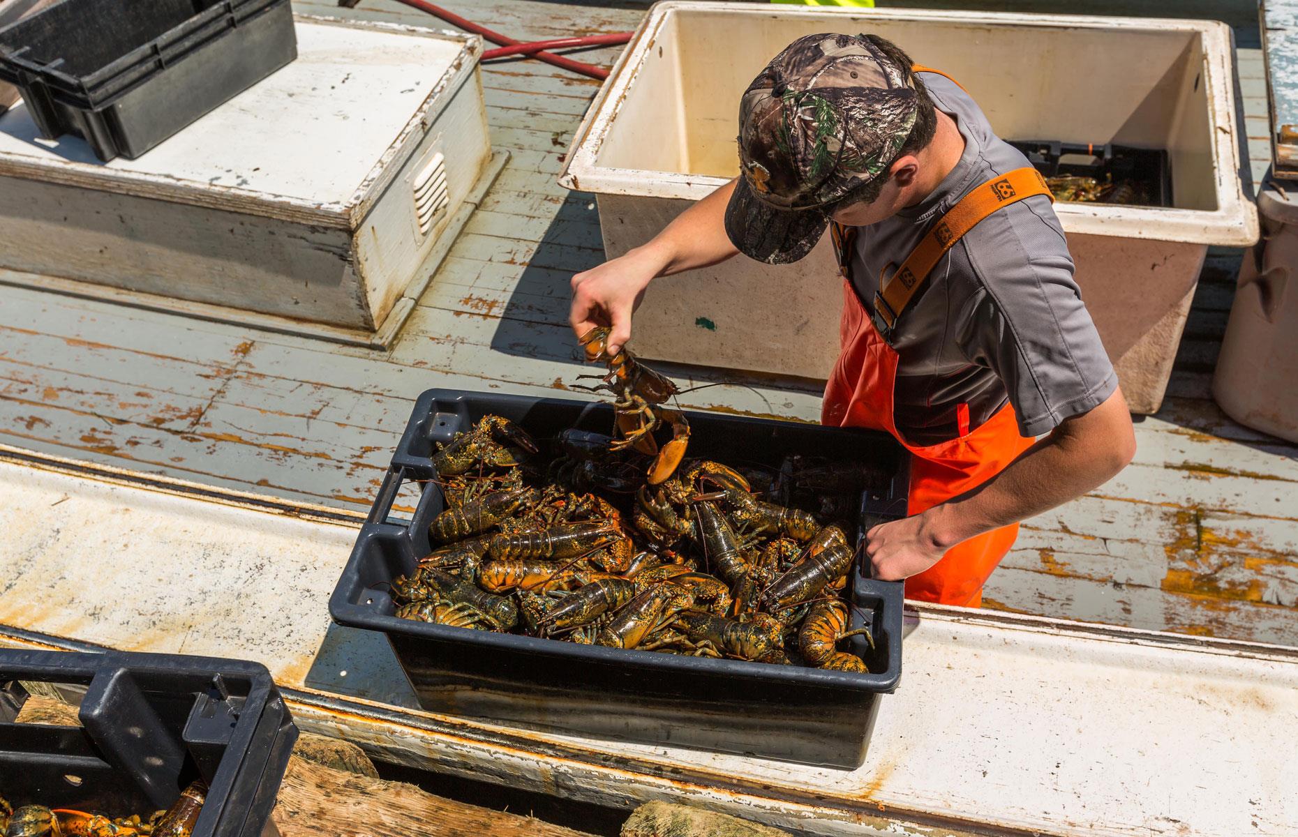 Canada is the world's leading exporter of lobster meat, oats, newsprint and more