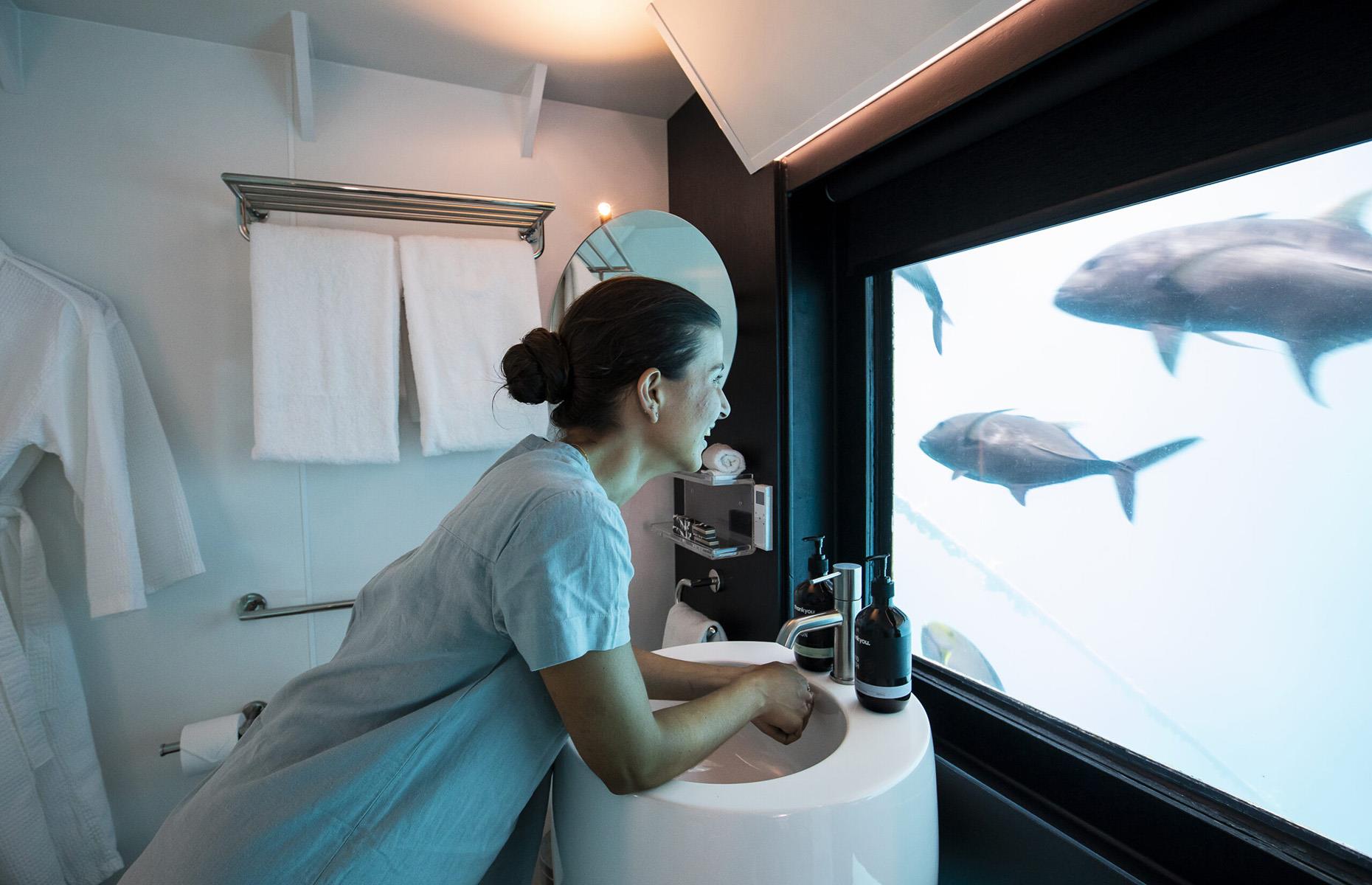 Reefsuites, Grande Barrière de corail, Australie