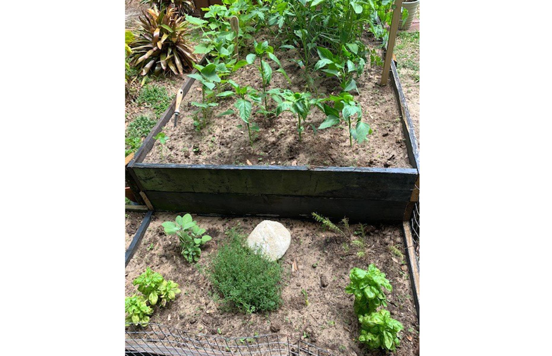 Self-sufficient set-up