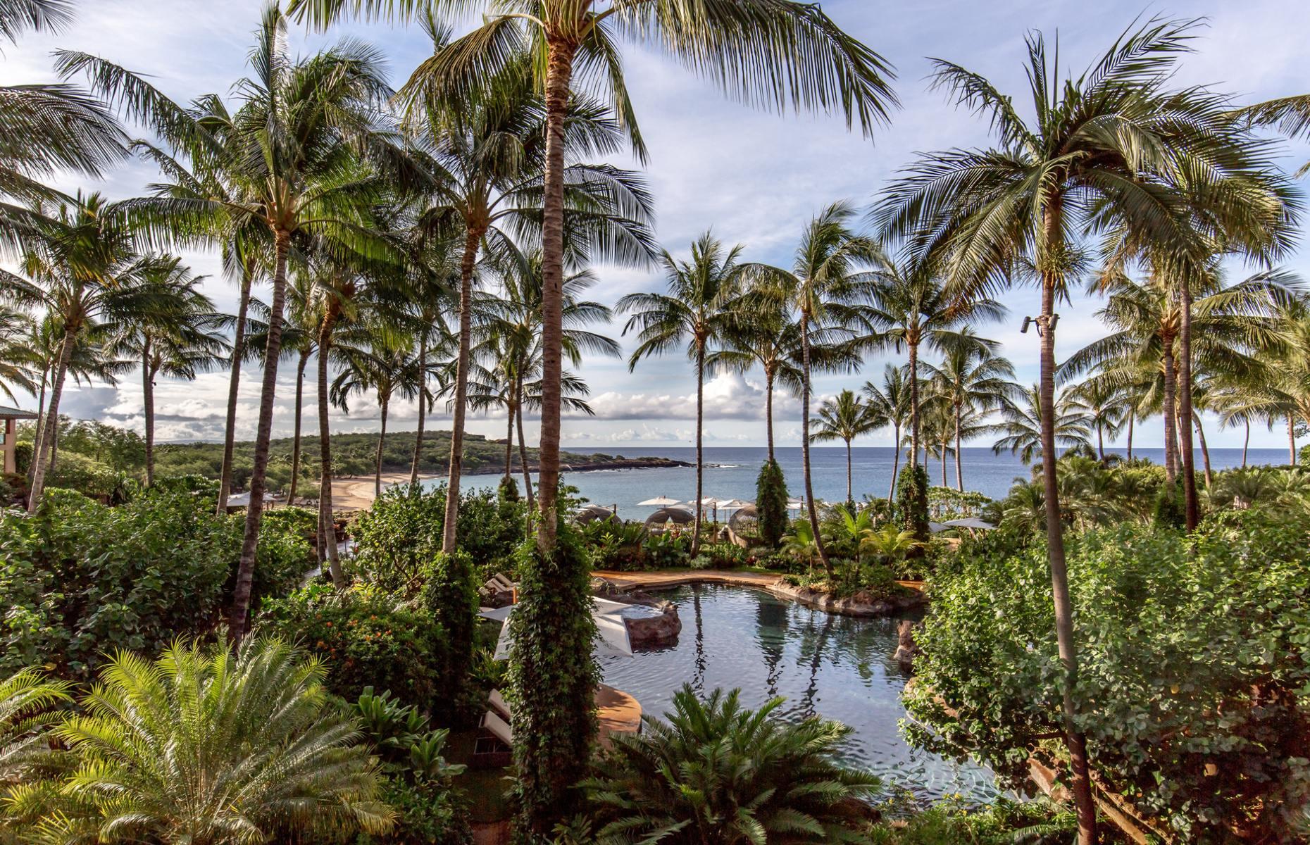  Lanai – Larry Ellison 