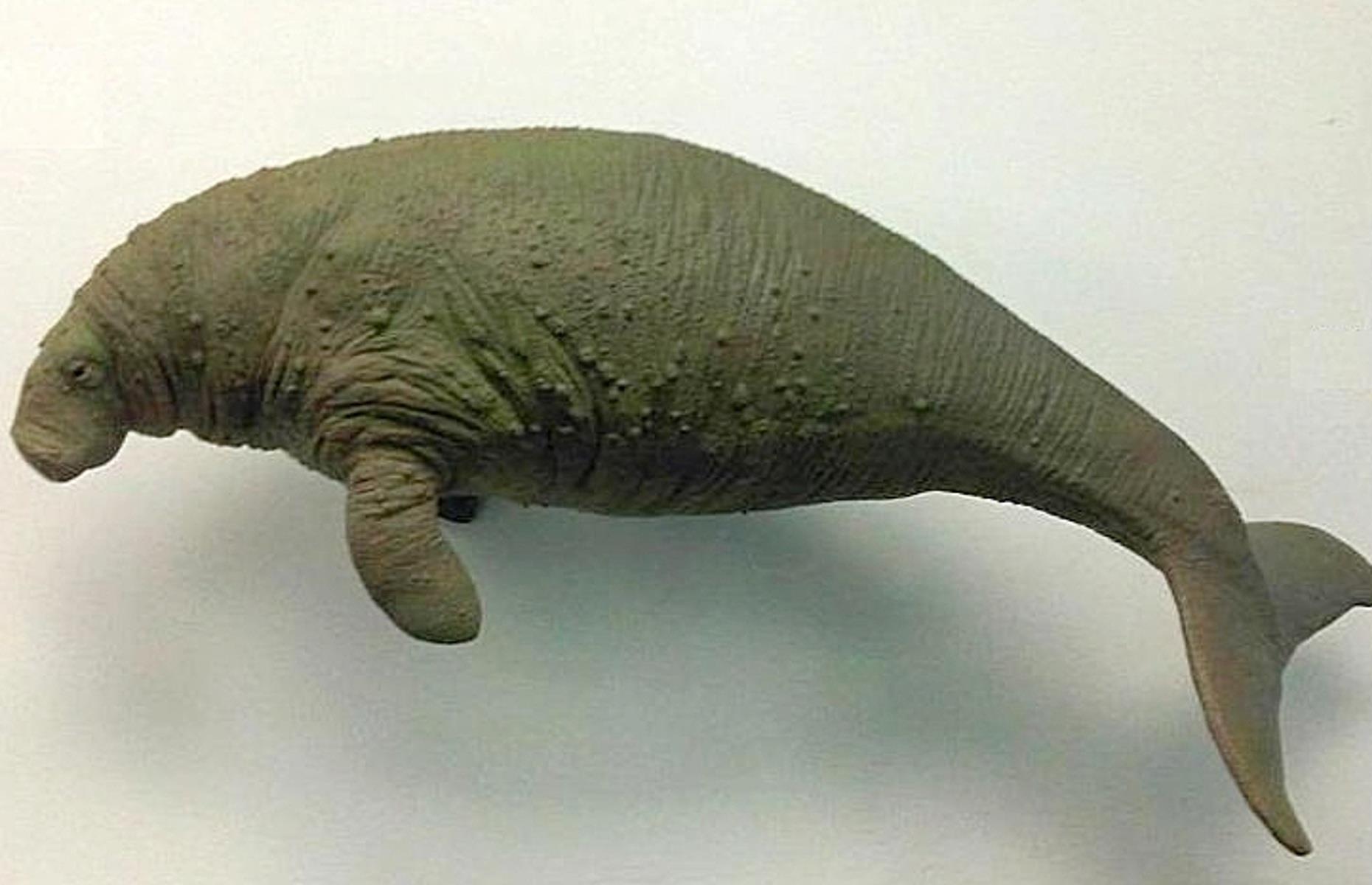 Steller's sea cow