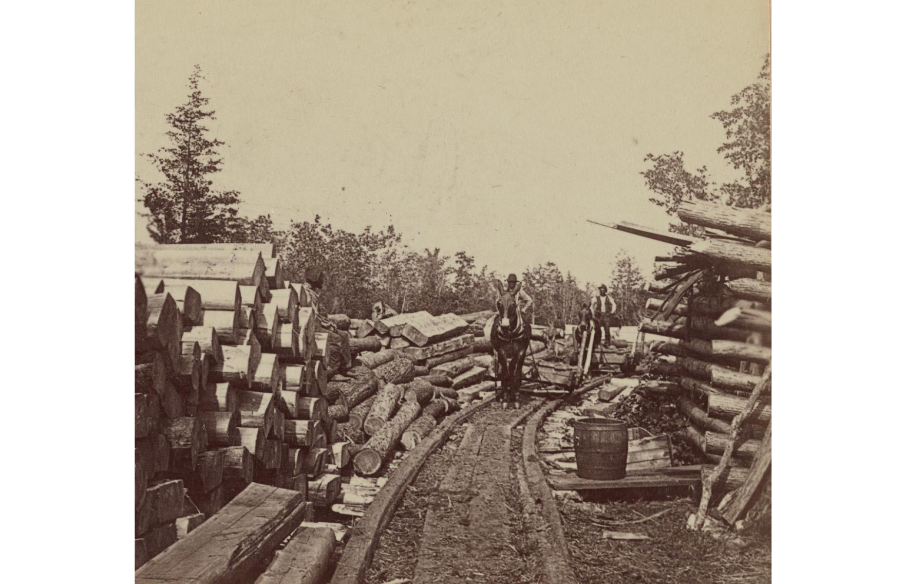Madera