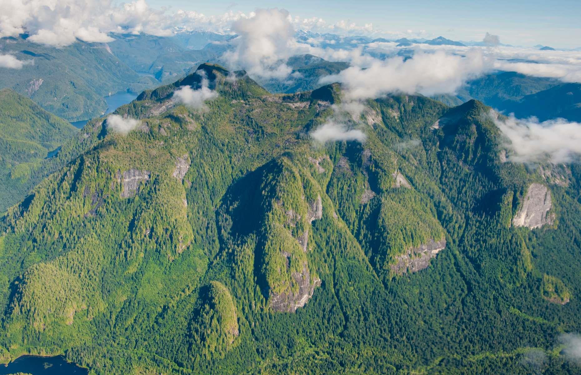 Look out for rare bears, Great Bear Rainforest, British Columbia