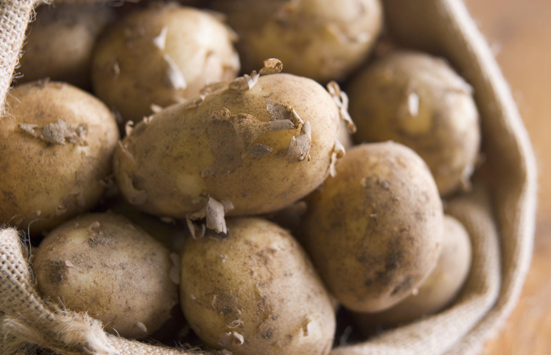 13. Jersey Royals, Jersey, UK  