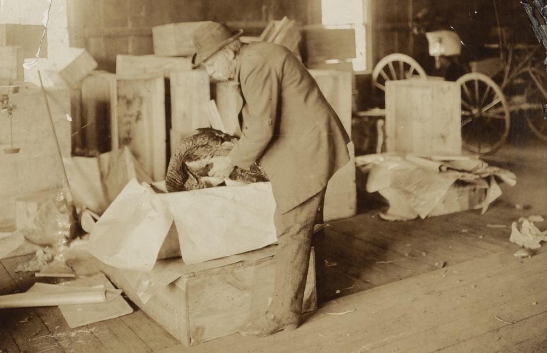 1870s: the bird man