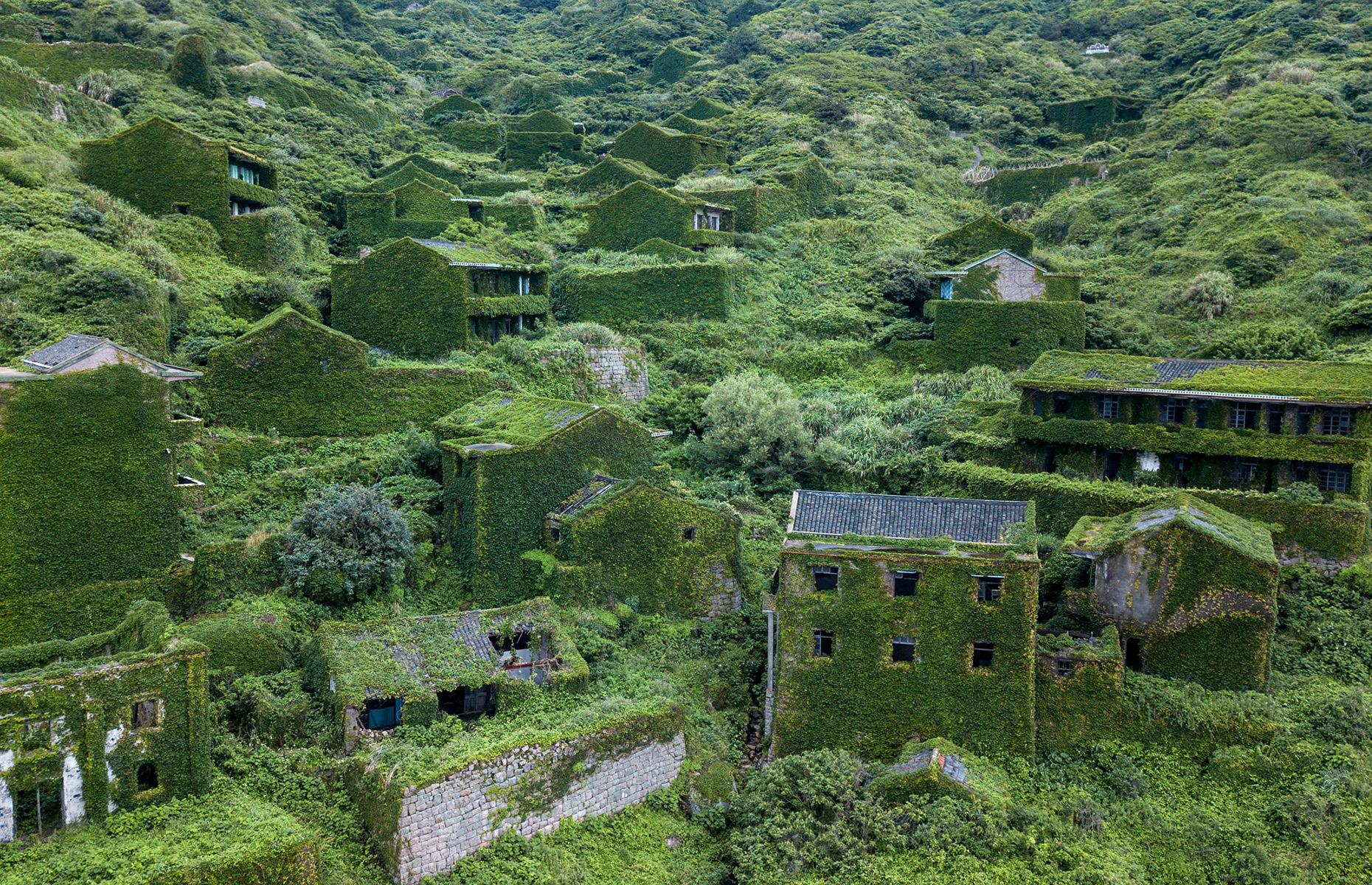 The overgrown village of Houtouwan, Shengshan Island, China 
