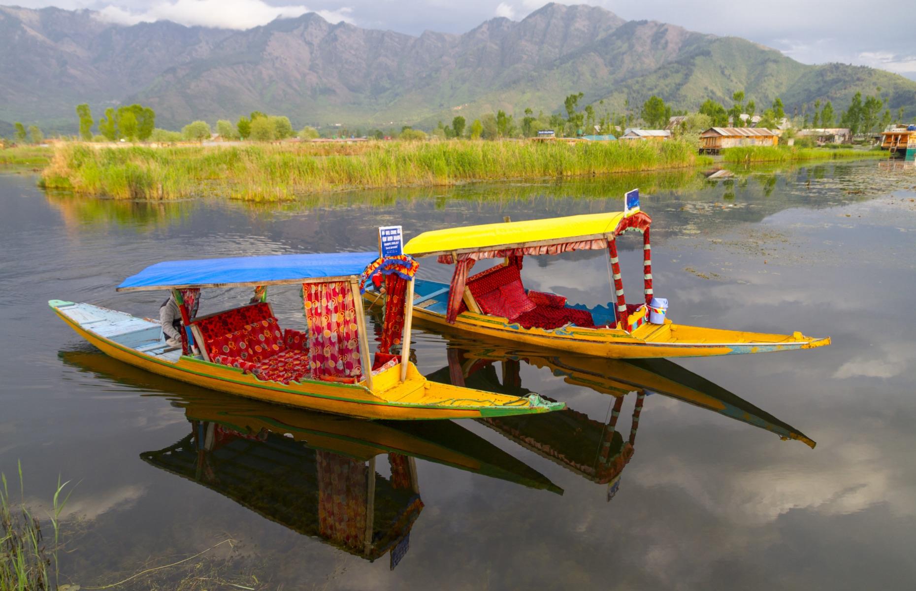 Dal Lake, Kashmir, India 