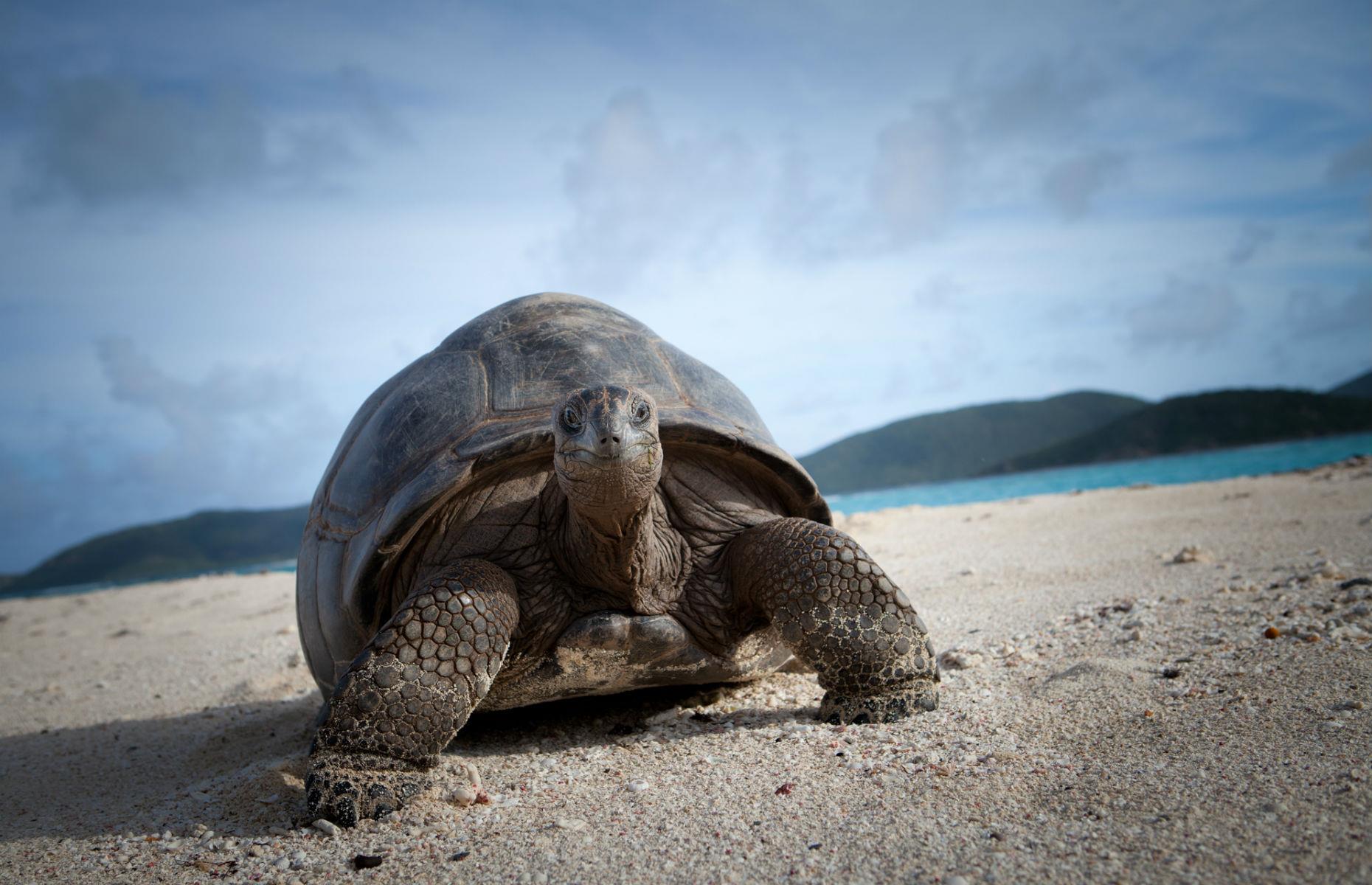 Necker Island, British Virgin Islands 