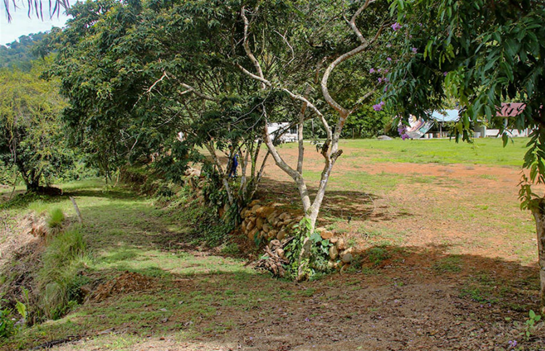 2.02 Acres, Costa Rica: $139k (£113.4k)