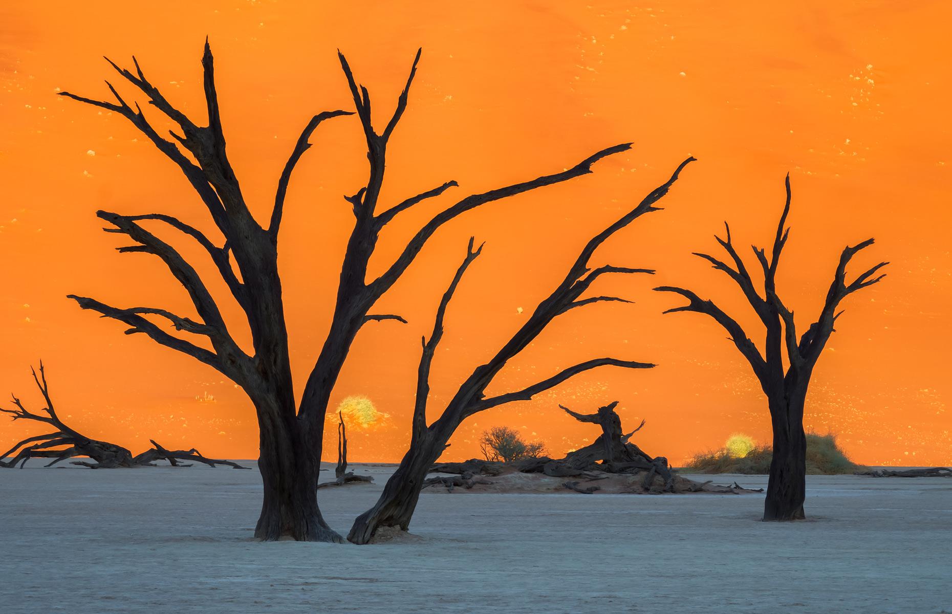 Deadvlei, Namib-Naukluft Park, Namibia