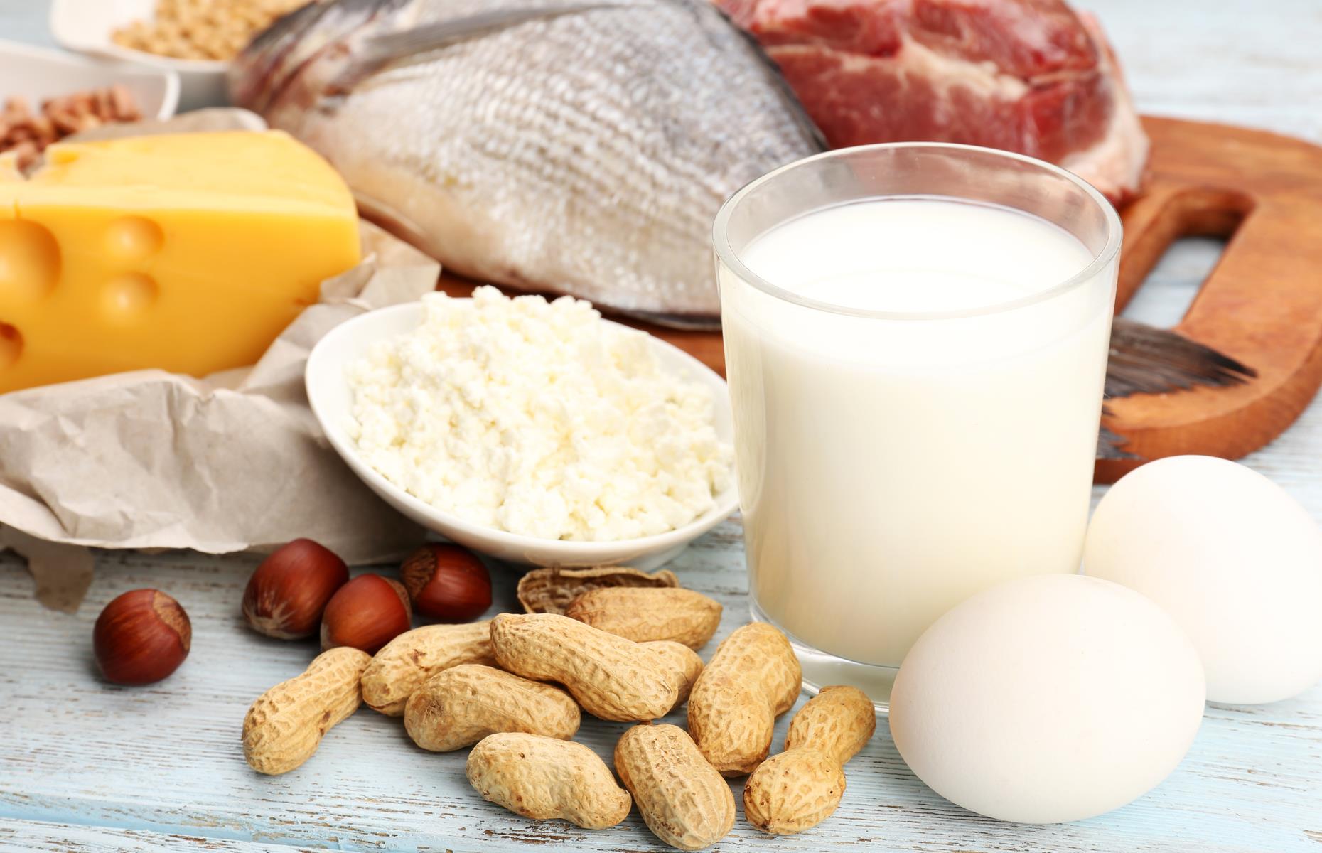 Сбалансированное питание белки. Белковые продукты. Пищевой белок. Белковая пища. Белки продукты.
