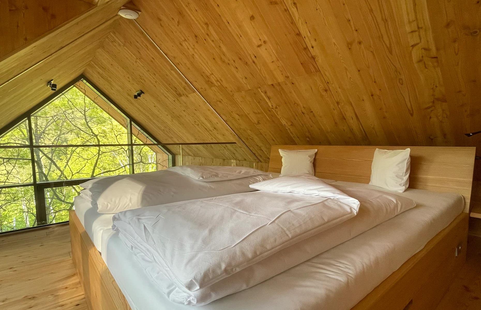 Modern treehouse, Rhineland-Palatinate, Germany