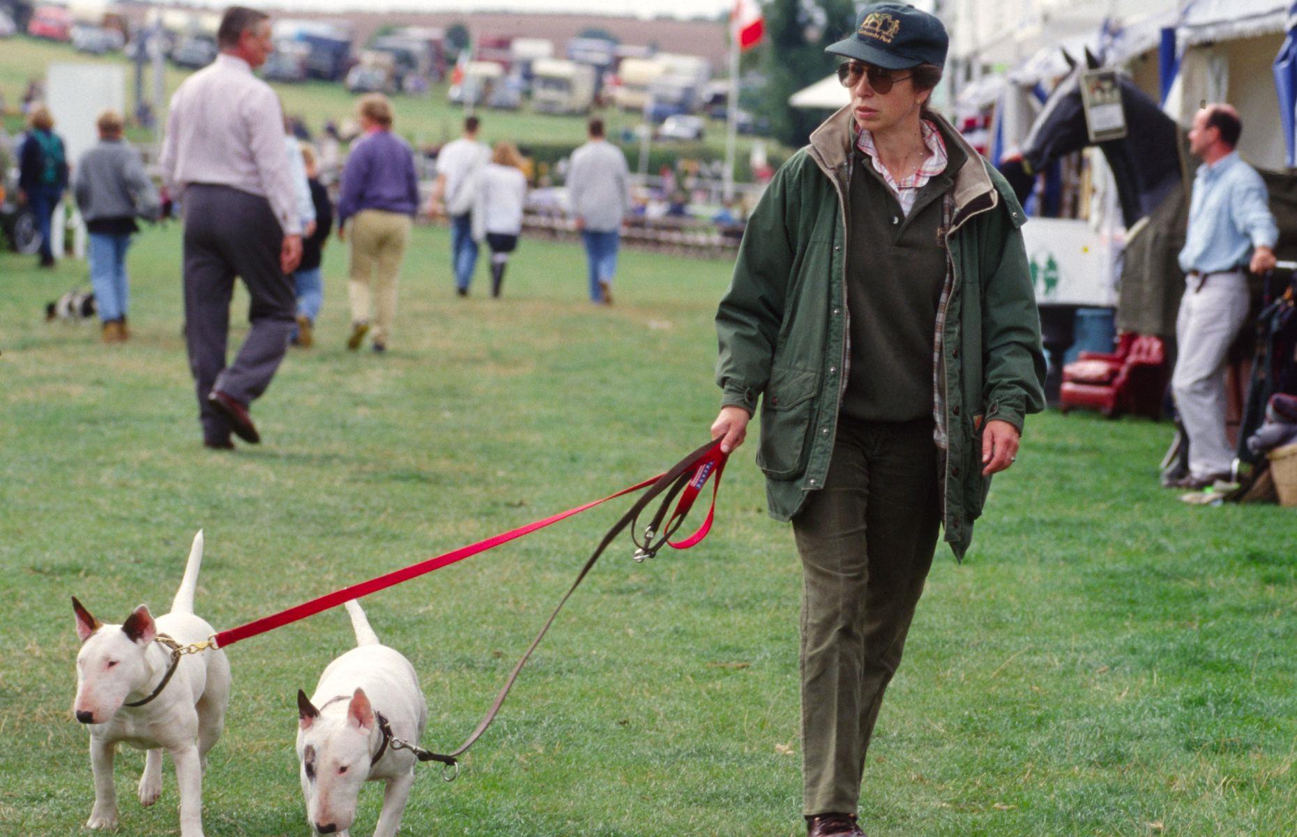 Princess Anne’s bull terriers