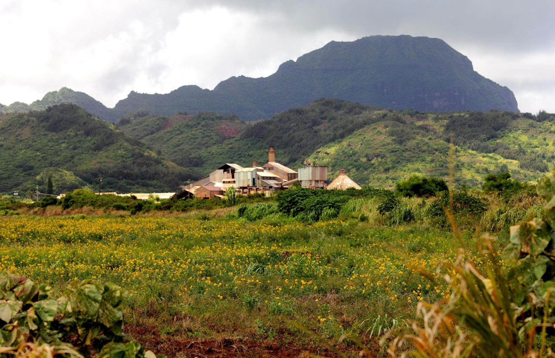 Hawaii: Old Sugar Mill of Kōloa, Kōloa