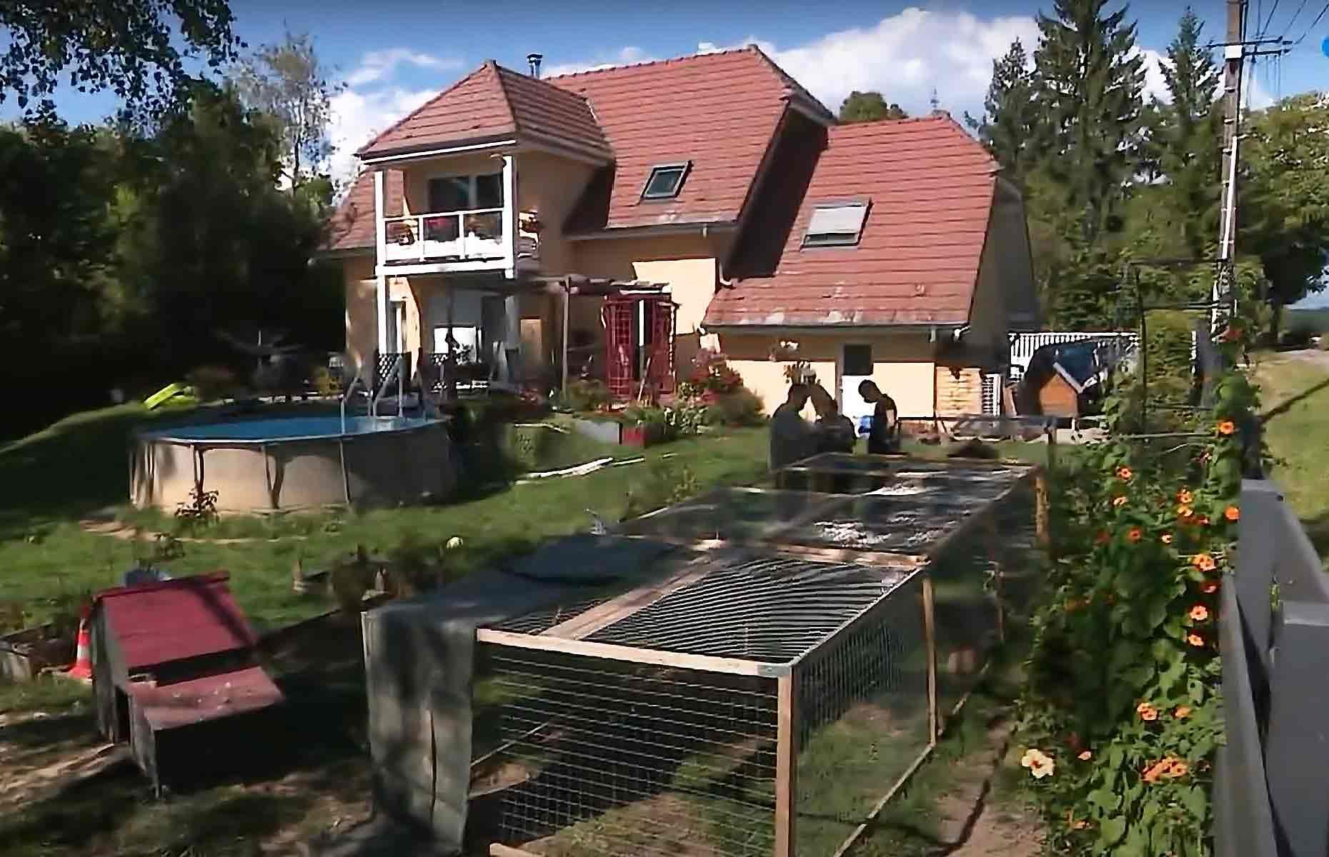 Ruffled residents take action against rowdy roosters