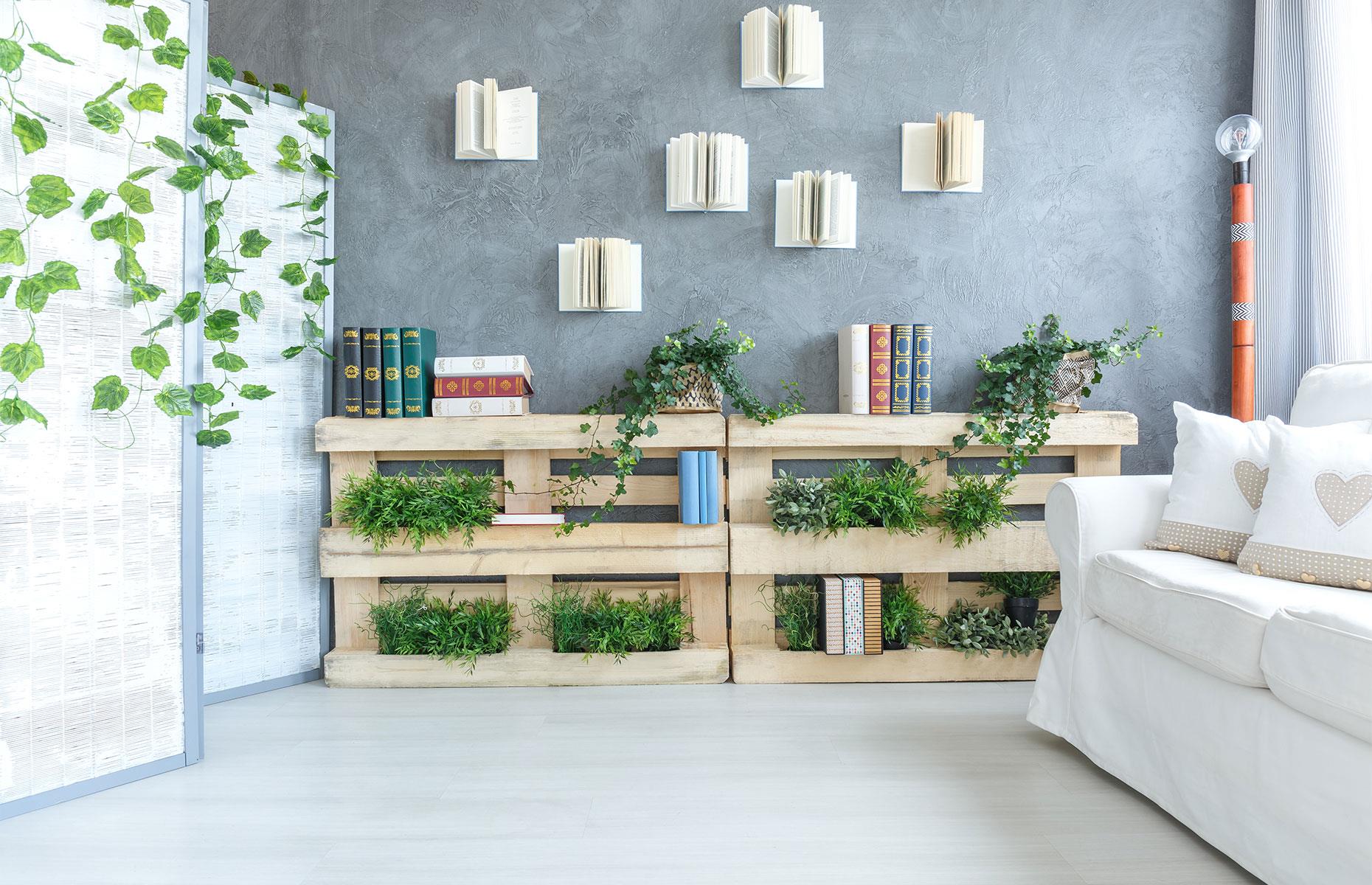 Display your books
