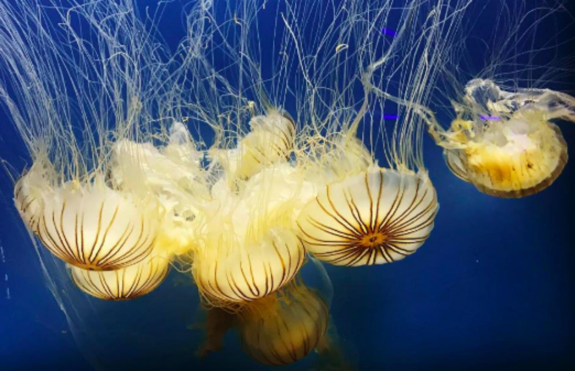 National Aquarium, Baltimore, Maryland