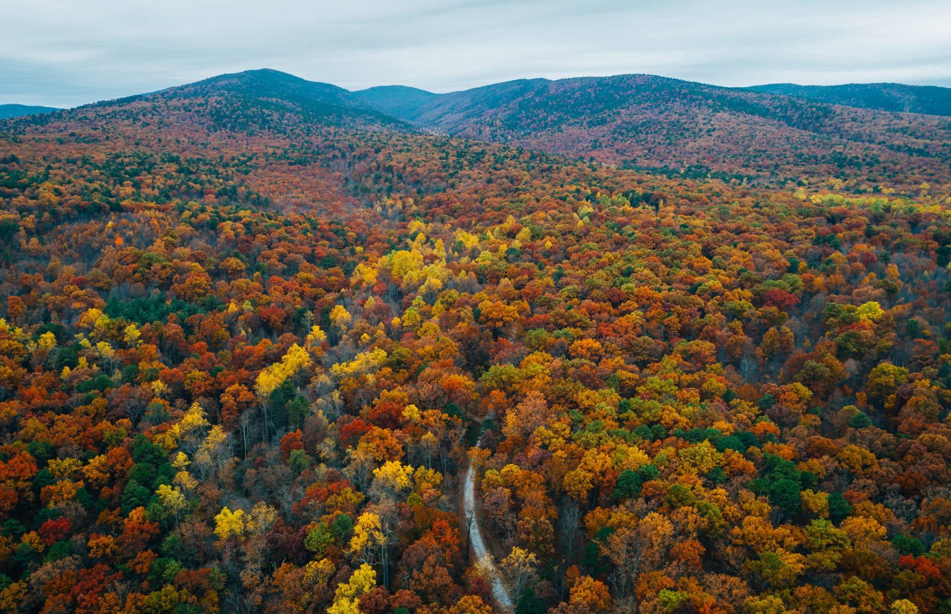 9. George Washington and Jefferson National Forests, Virginia, West Virginia and Kentucky 