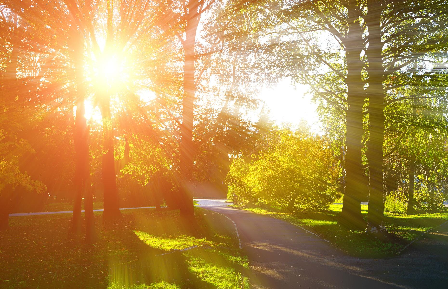 Vitamin D