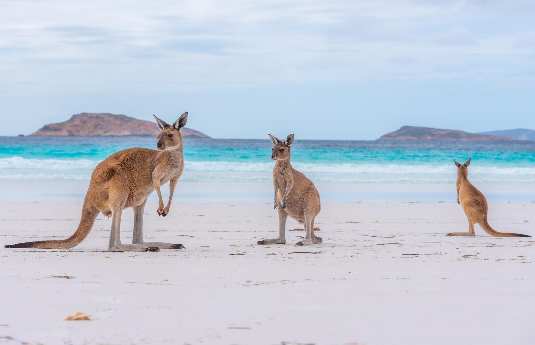 Australia