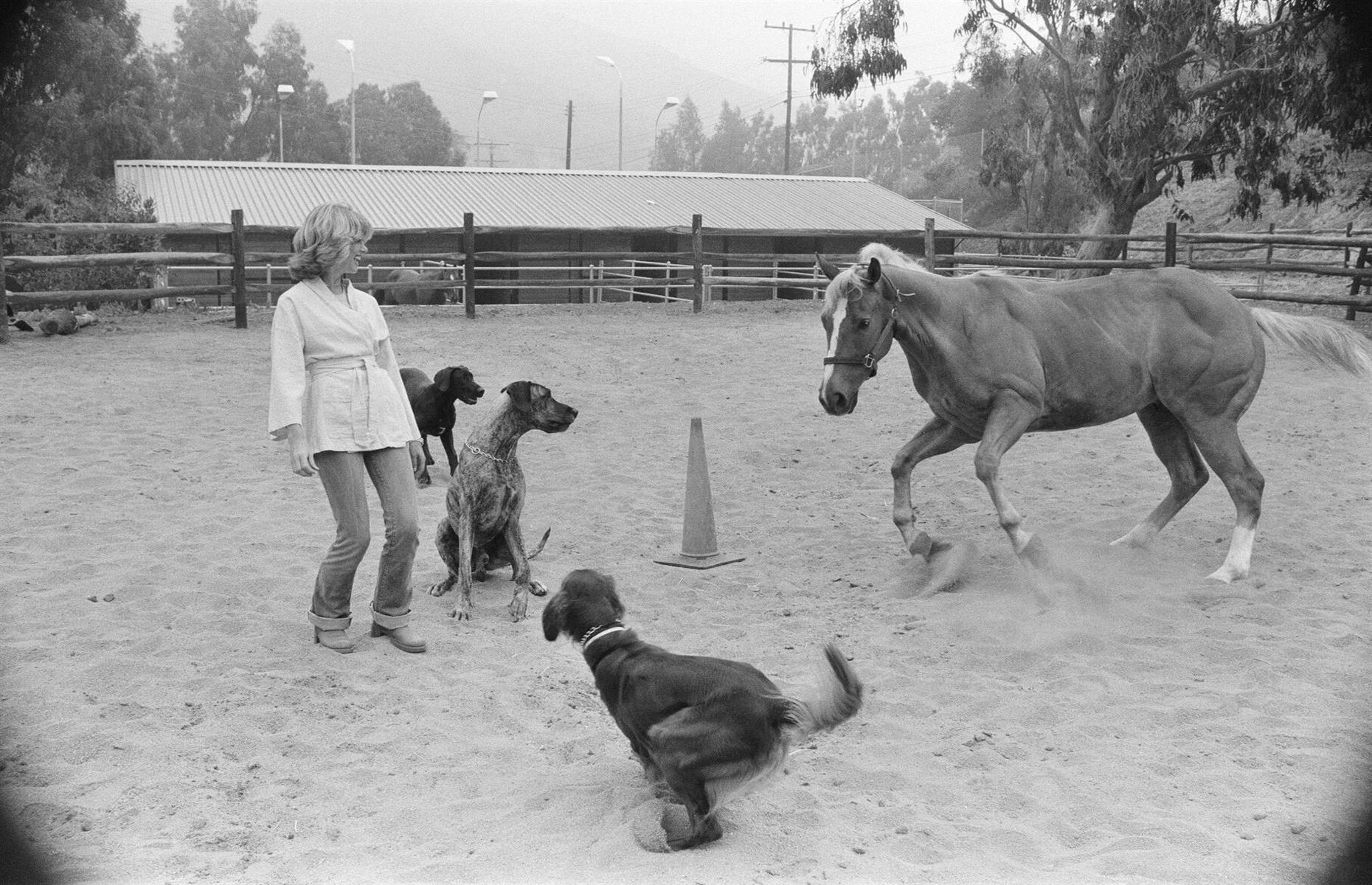 1976: Dame Olivia Newton John at her Malibu home surrounded by pets