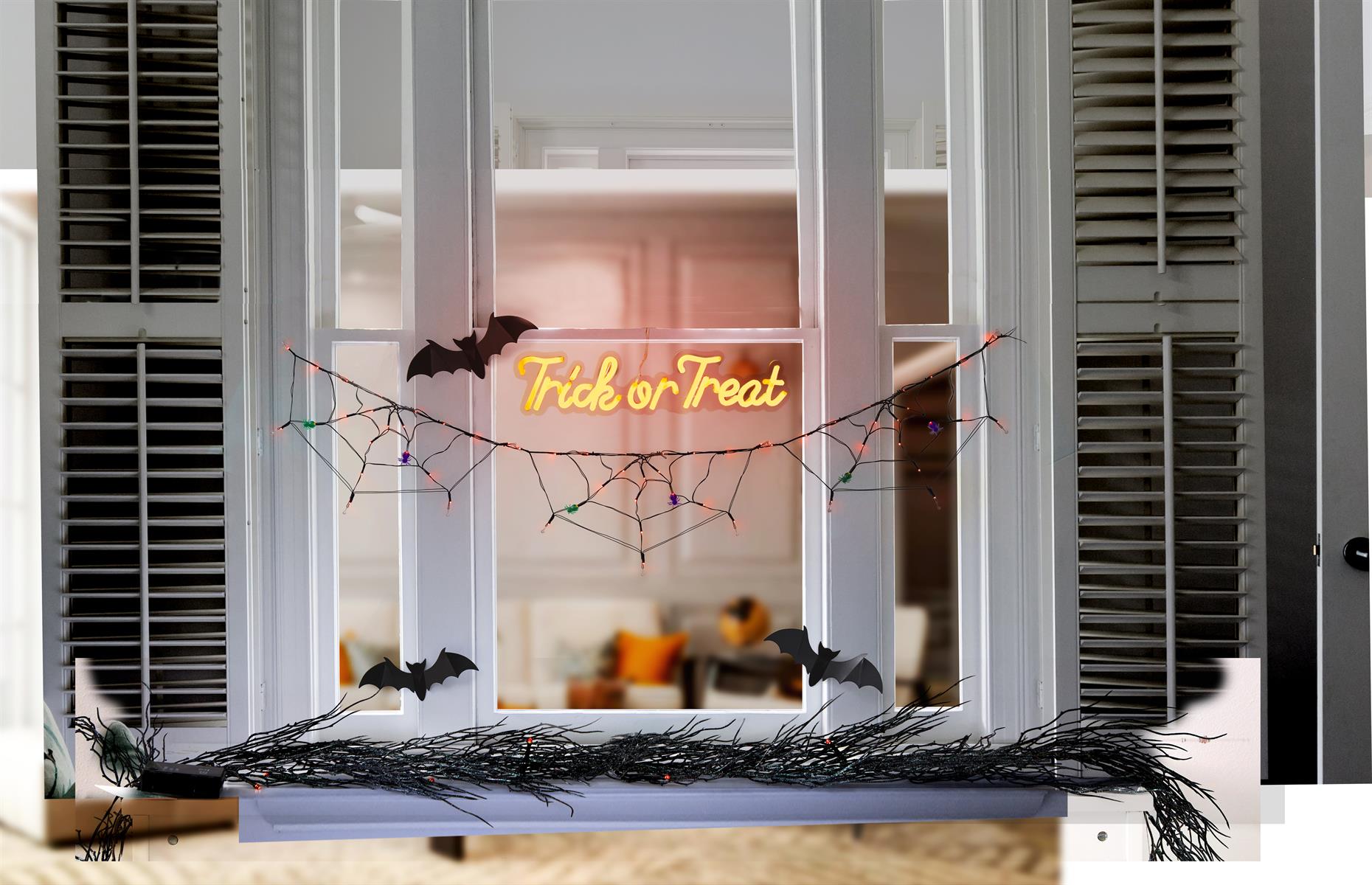 Display neon signs