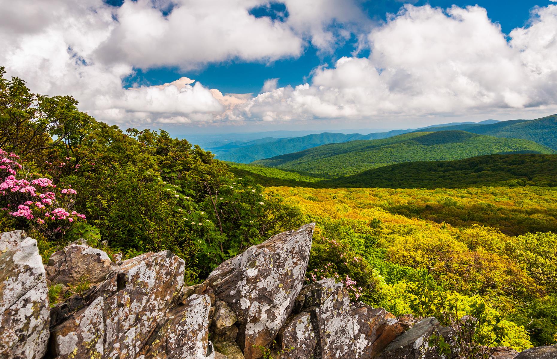 Virginia: Shenandoah National Park
