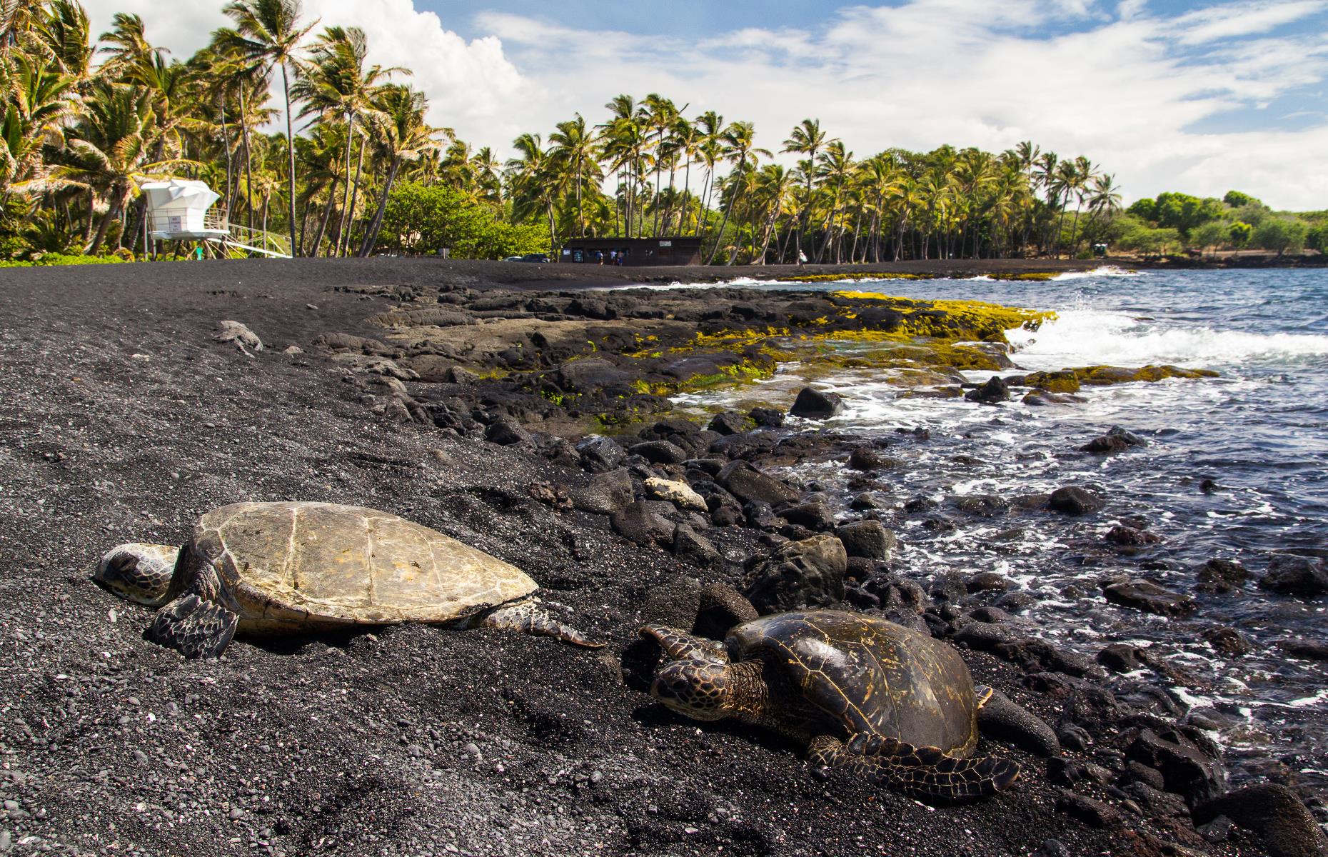 Hawaii: Punaluʻu Beach, Hawaii