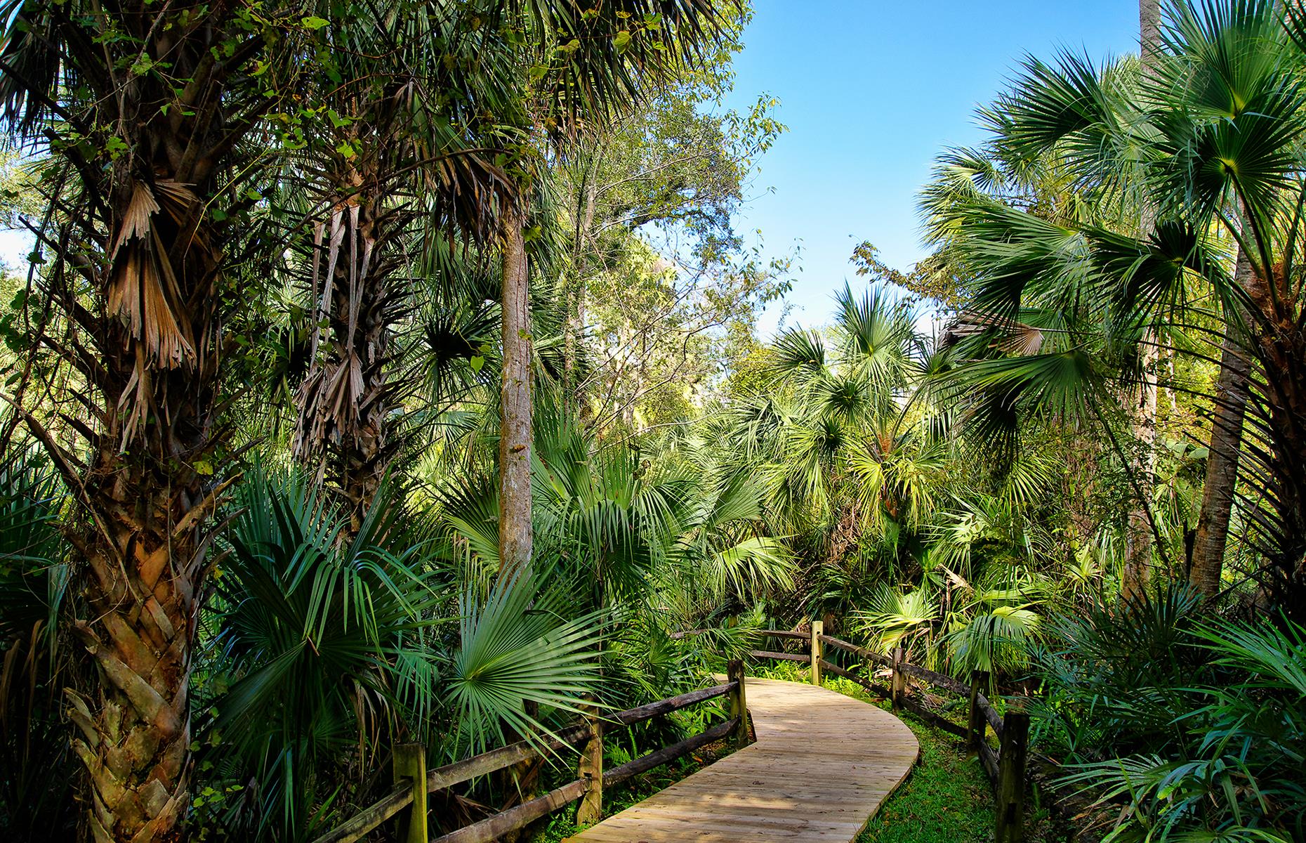 Juniper Springs National Recreation Area, Ocala