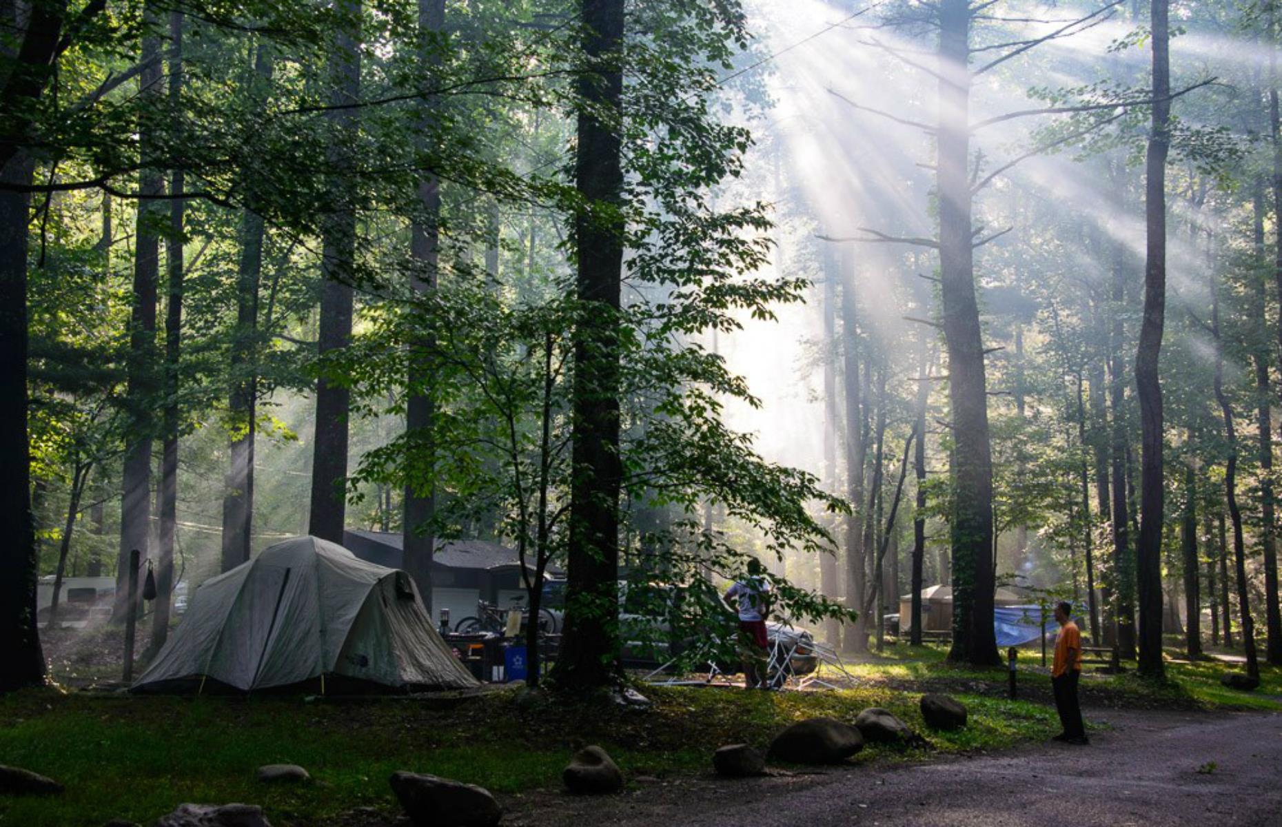 Tennessee: Great Smoky Mountains National Park