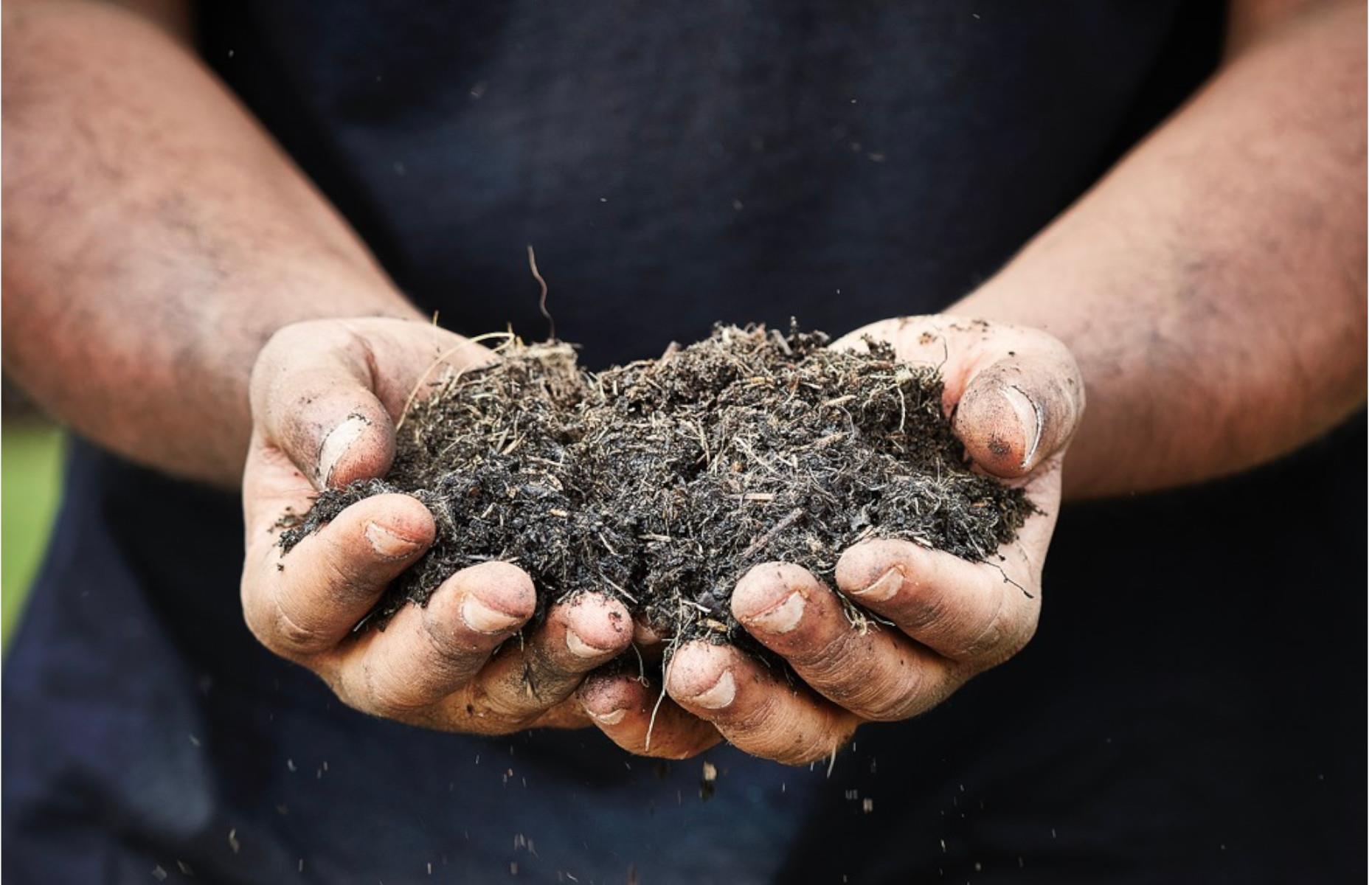 Improve the soil