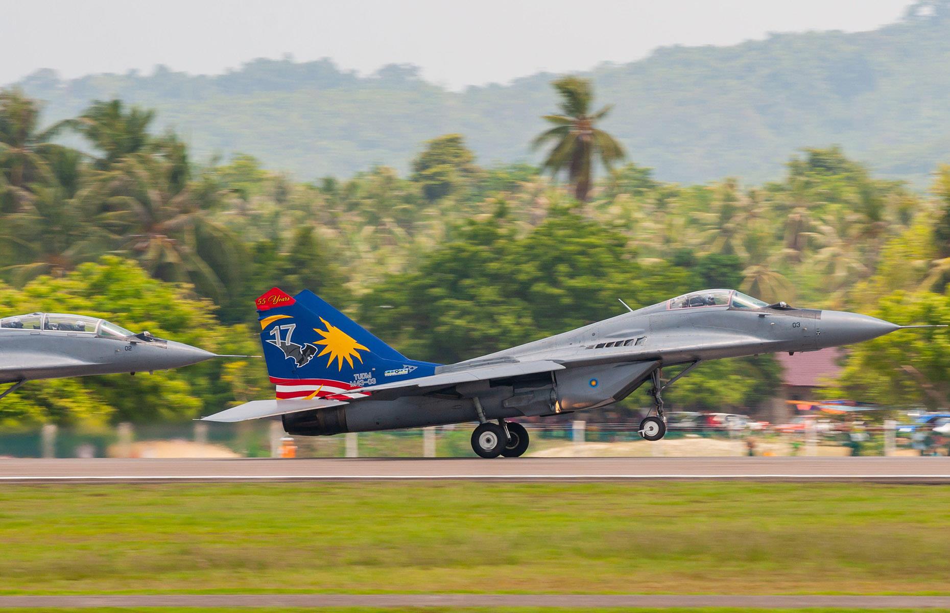 Palm oil for fighter jets