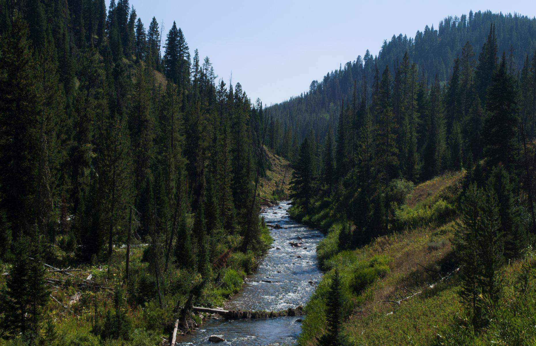 28. Bridger-Teton National Forest, Wyoming