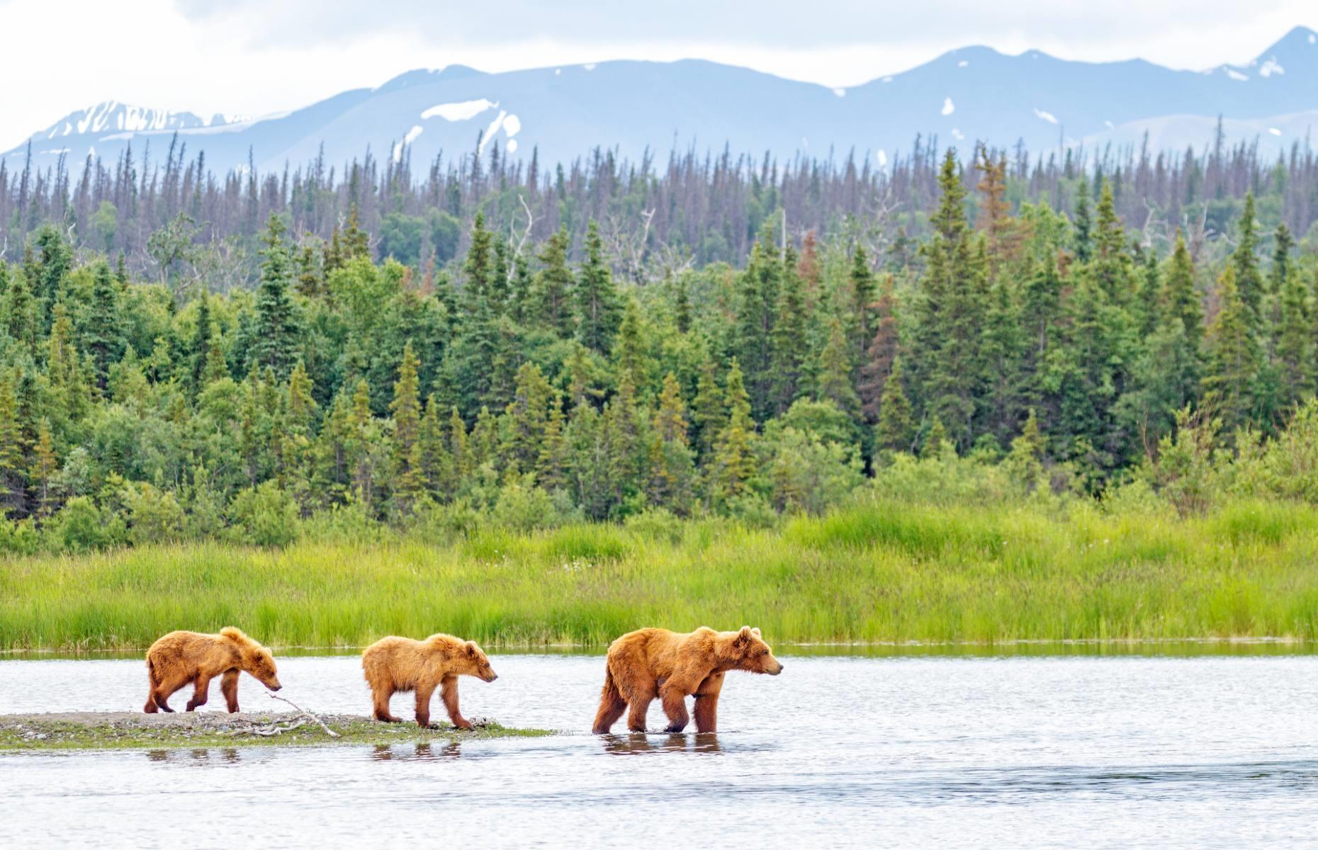 Alaska, USA