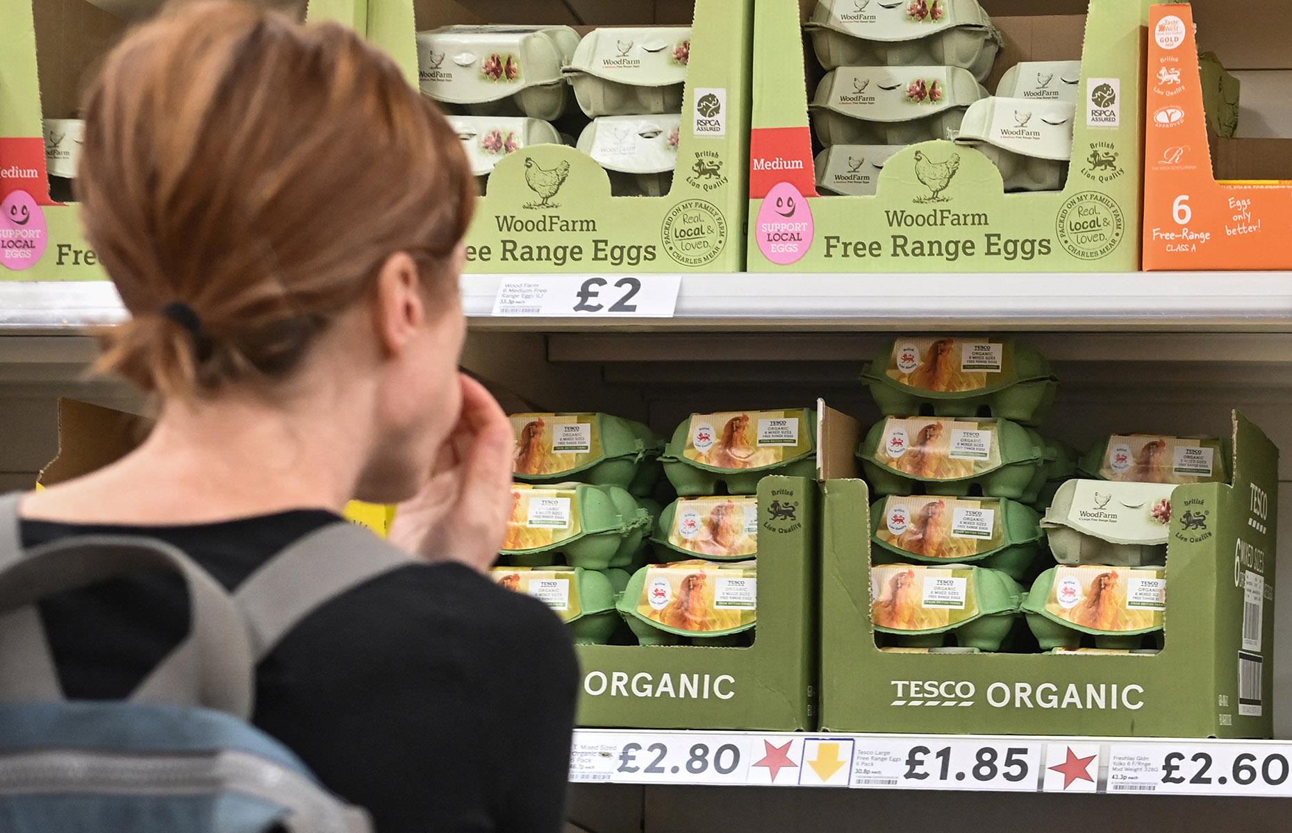 The cost of a dozen eggs across the globe today