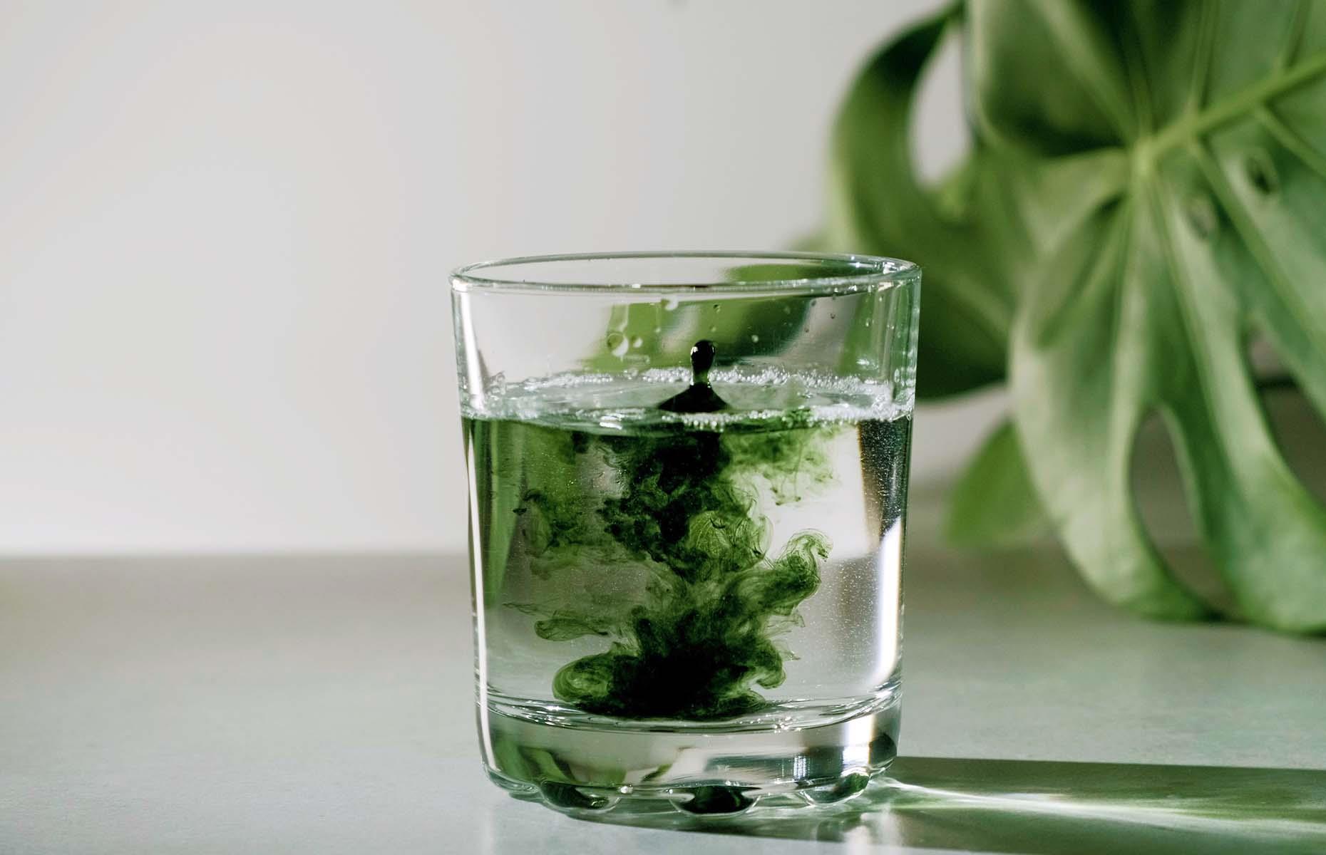 37. Chlorophyll water