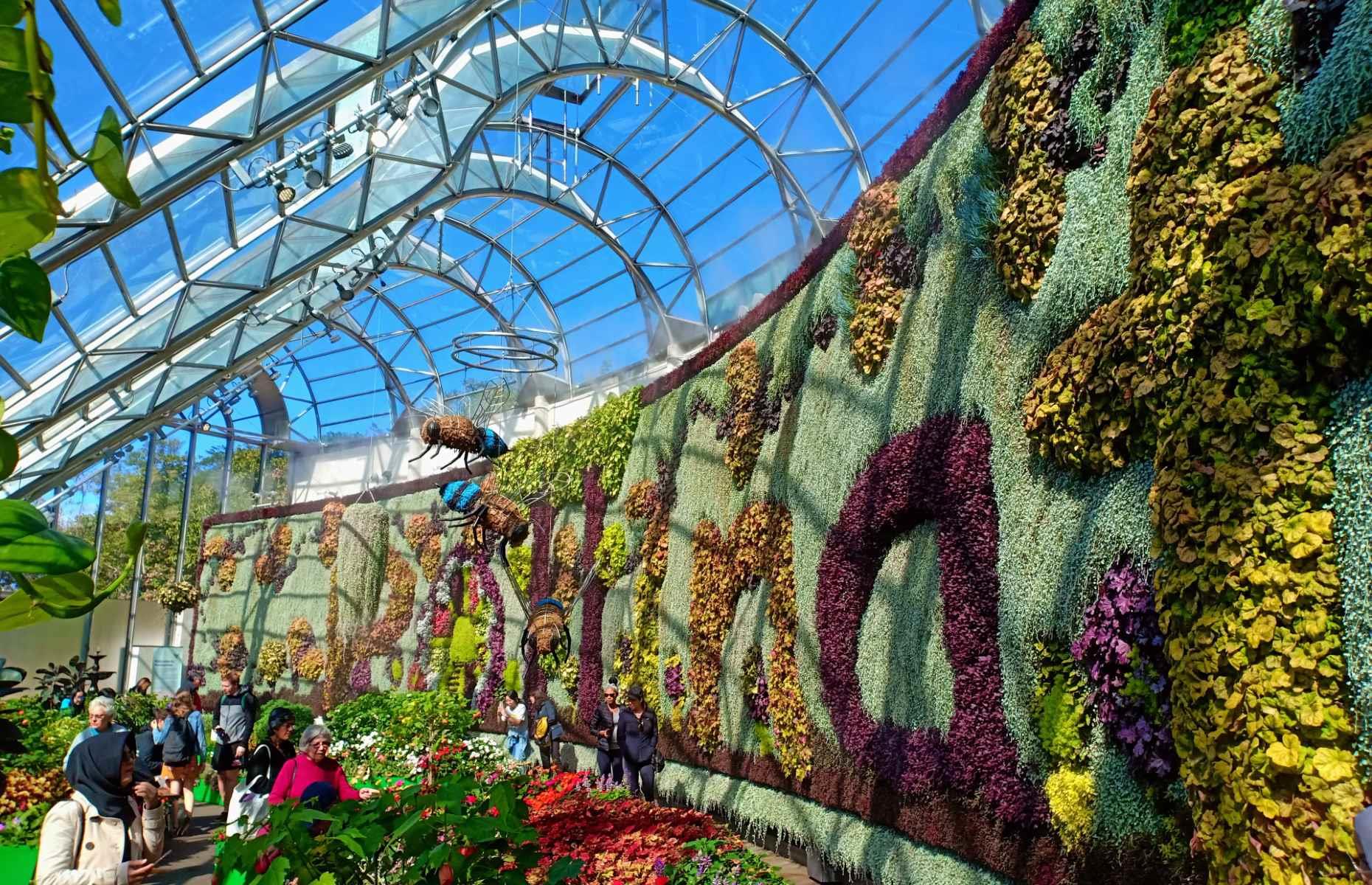 Royal Botanic Garden, Sydney, New South Wales, Australia