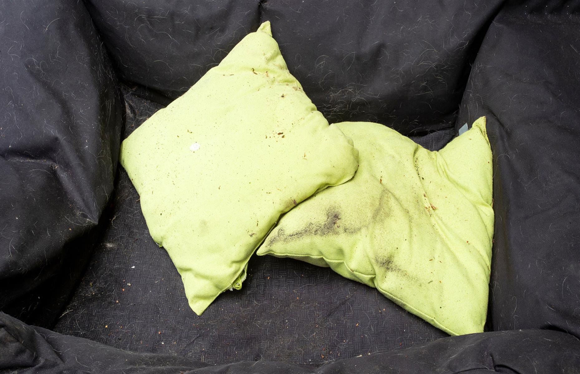 Purge pet beds