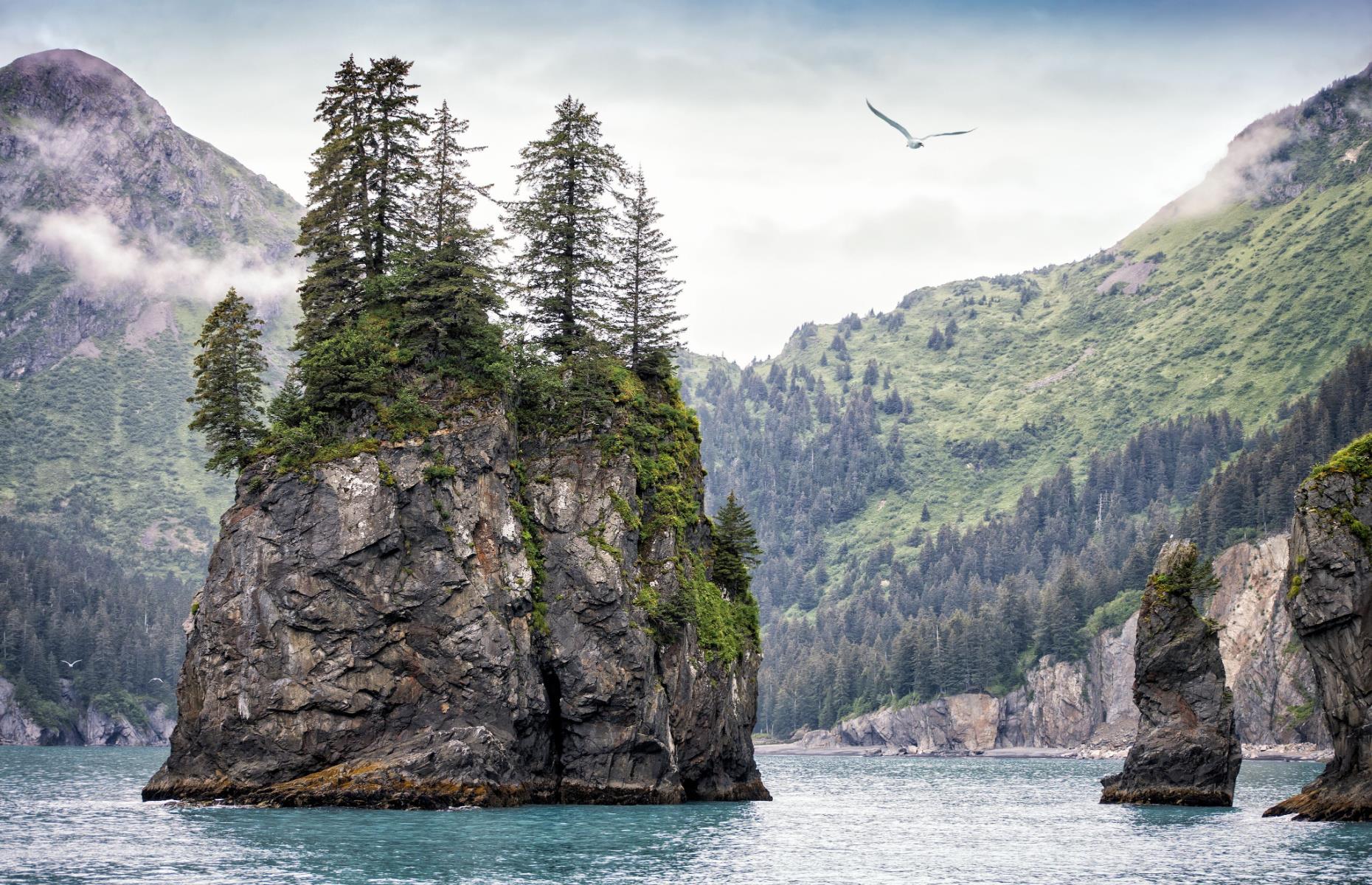 Kenai Fjords National Park, Alaska, USA