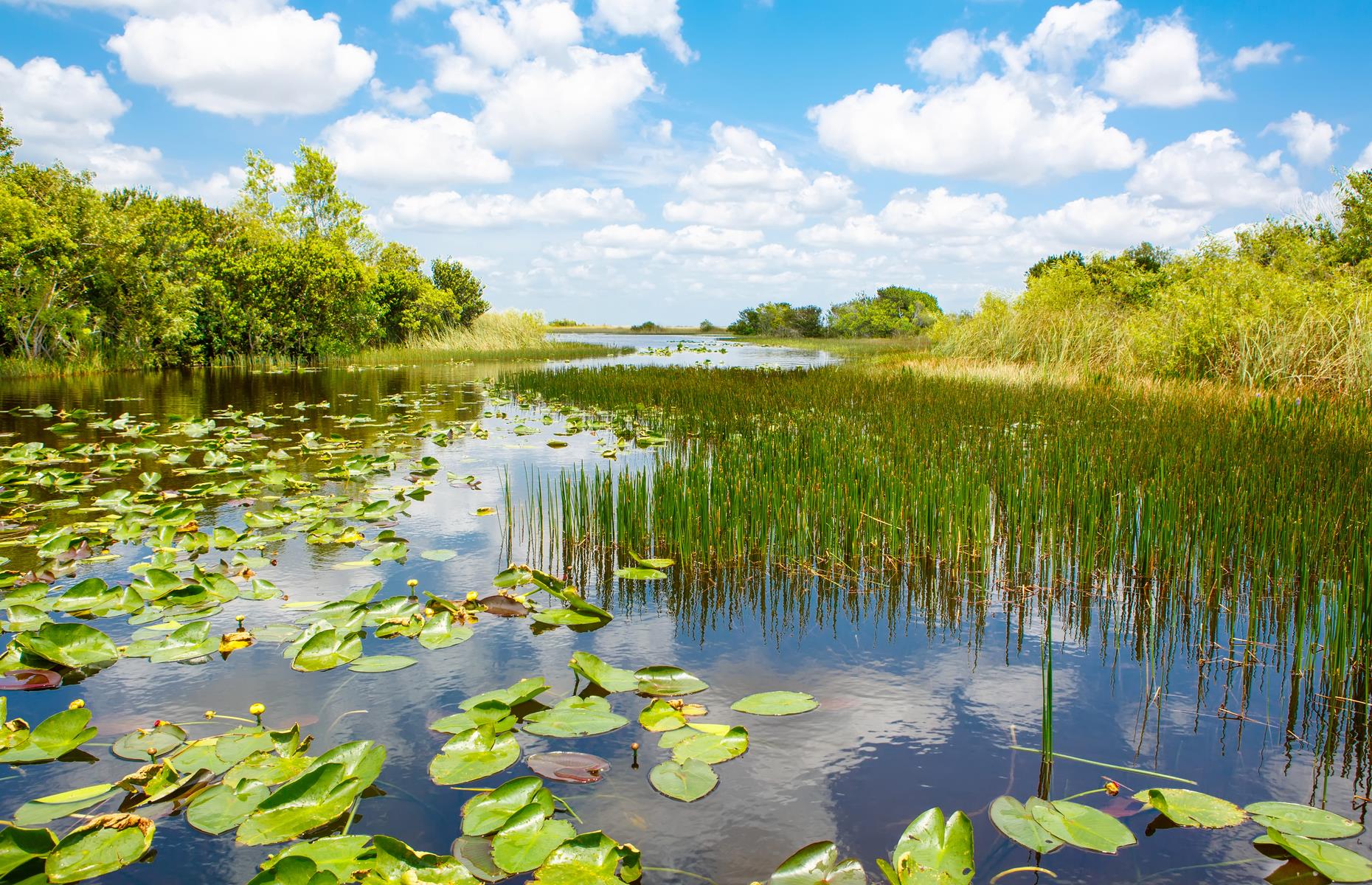 4: Everglades National Park