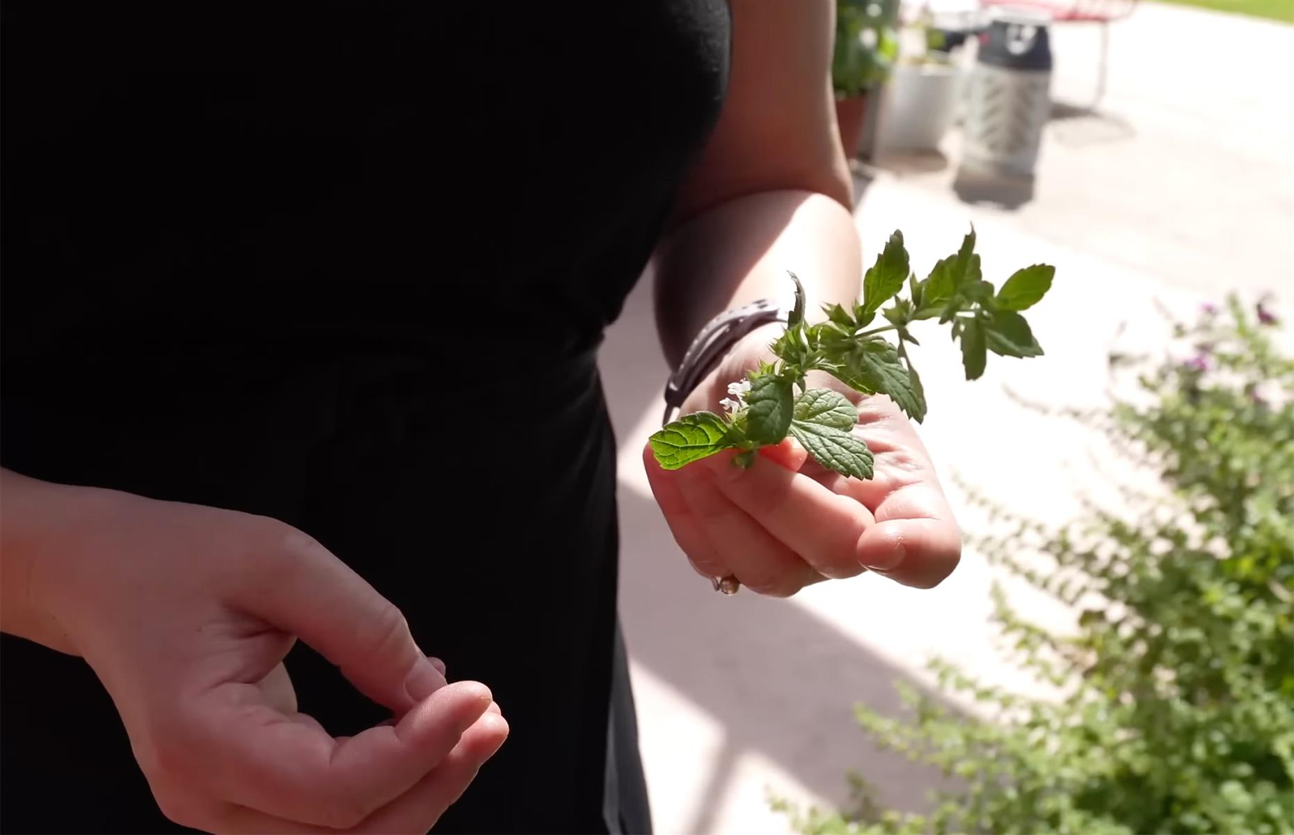 Global produce grown at home