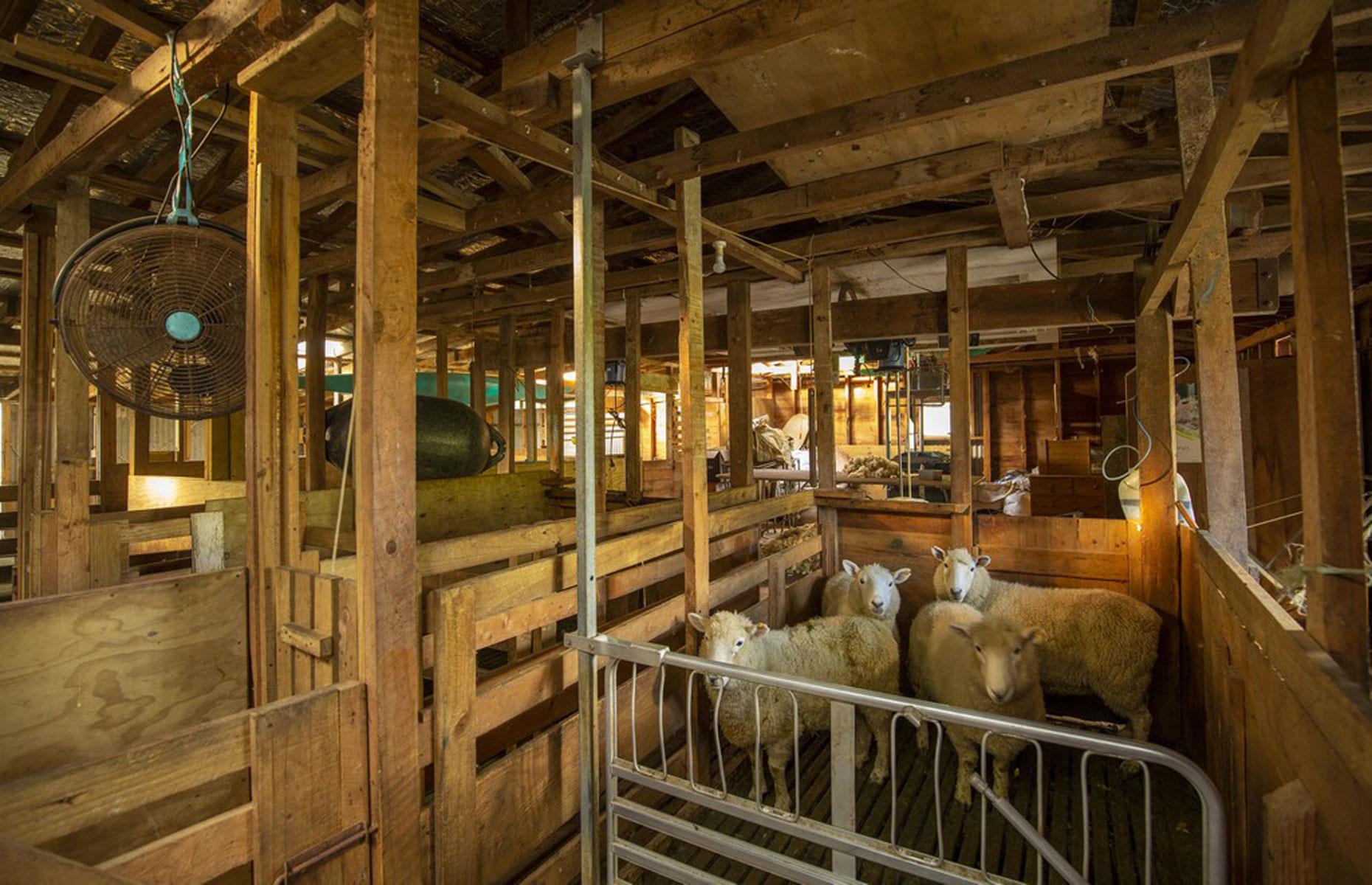 Pepin Island, Nelson, New Zealand: $11.5 million (£8.4m)