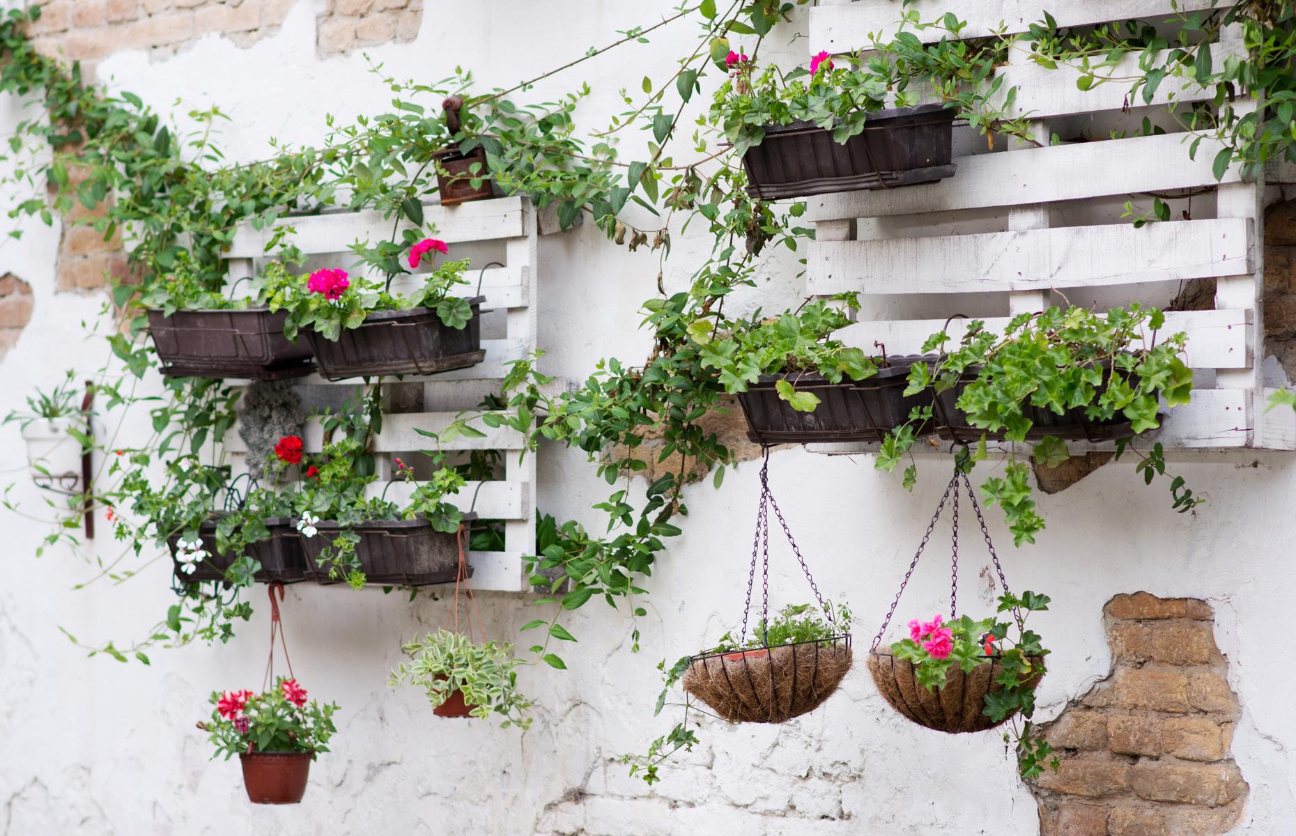 Hang baskets in style