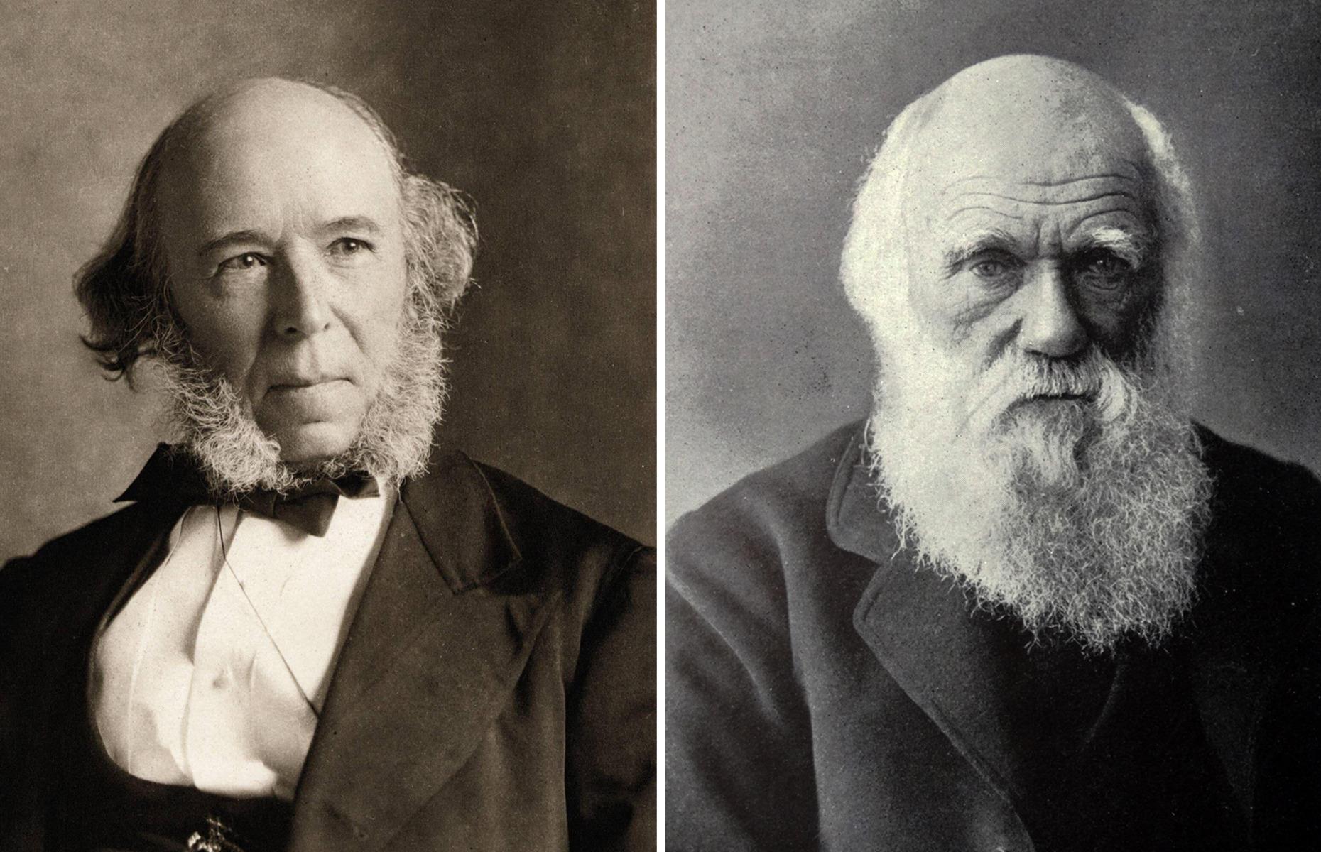 Charles Darwin coined the phrase 'survival of the fittest'