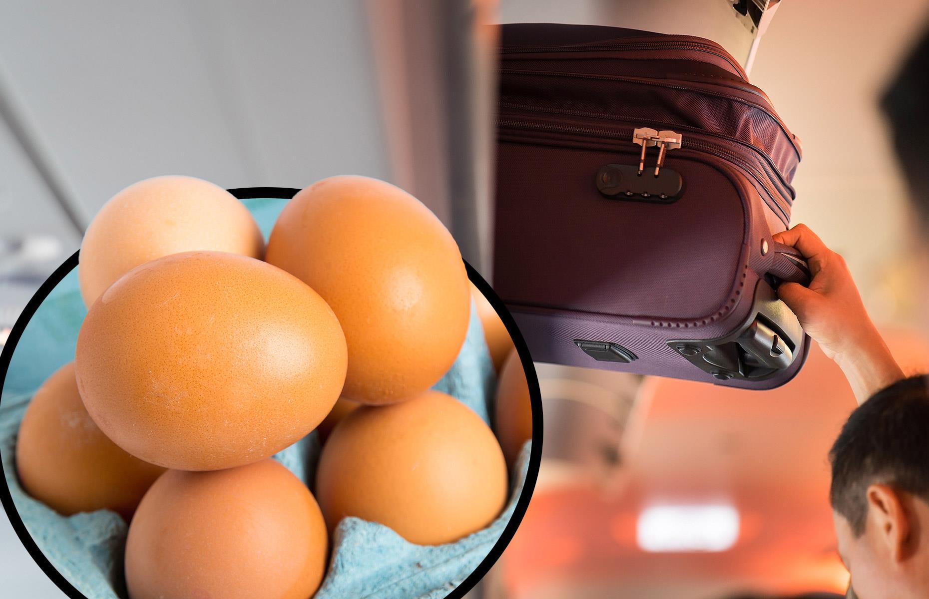 Foods that are fit to fly