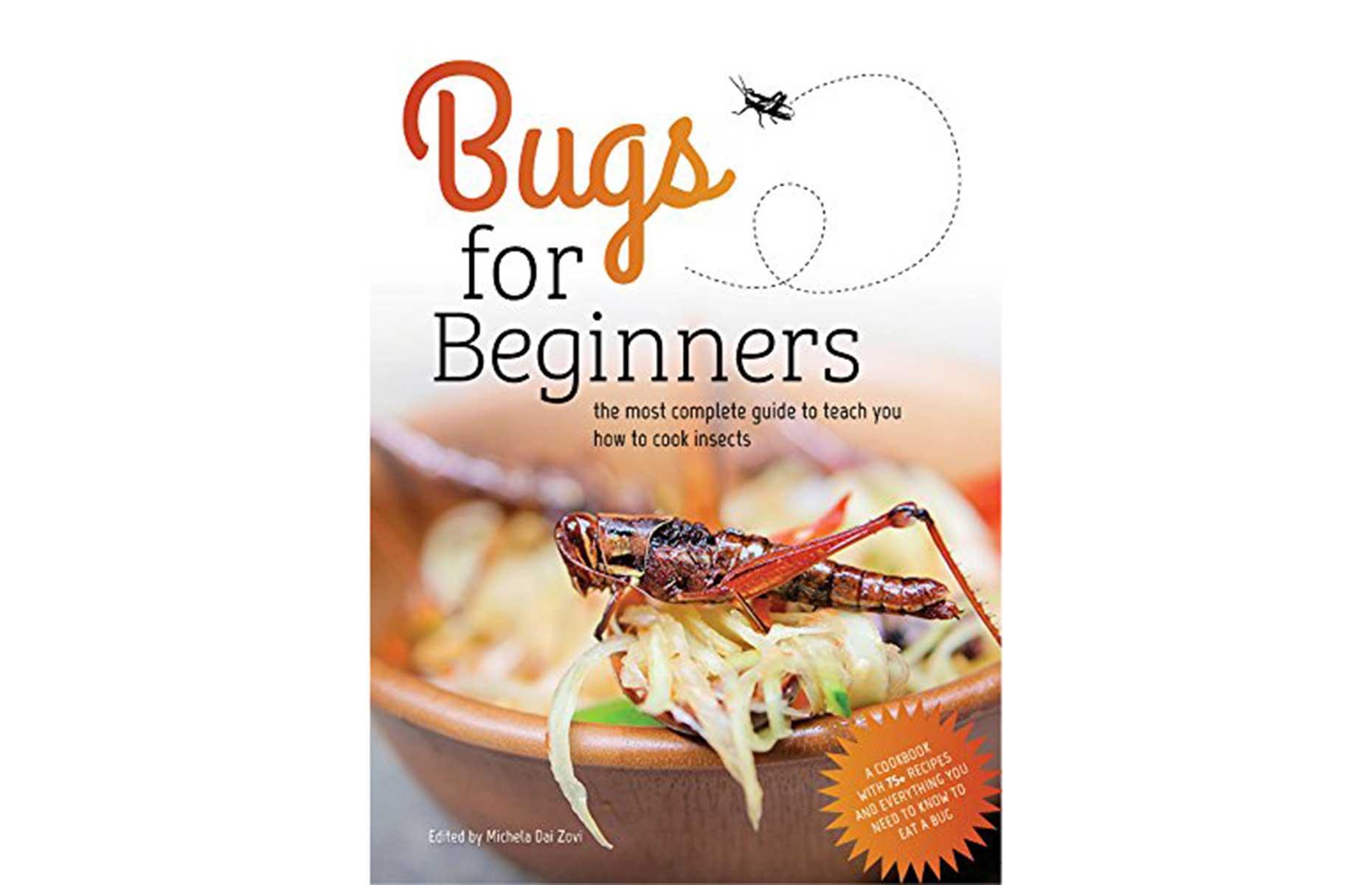 Bugs For Beginners by Michela Dai Zovi