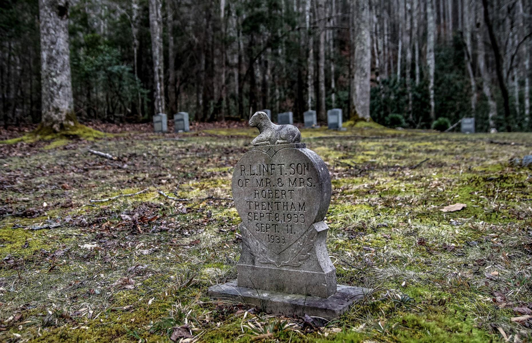 Spooky cemetery 